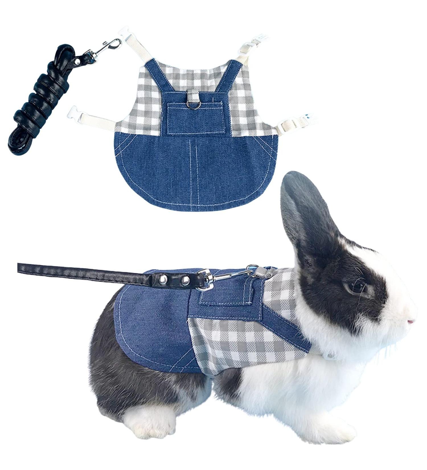 Adjustable Soft Rabbit Dishes & Leash Set - Perfect for Rabbits Cats and Guinea Pigs | Size M Blue - Buy Online on SooperMarket.com