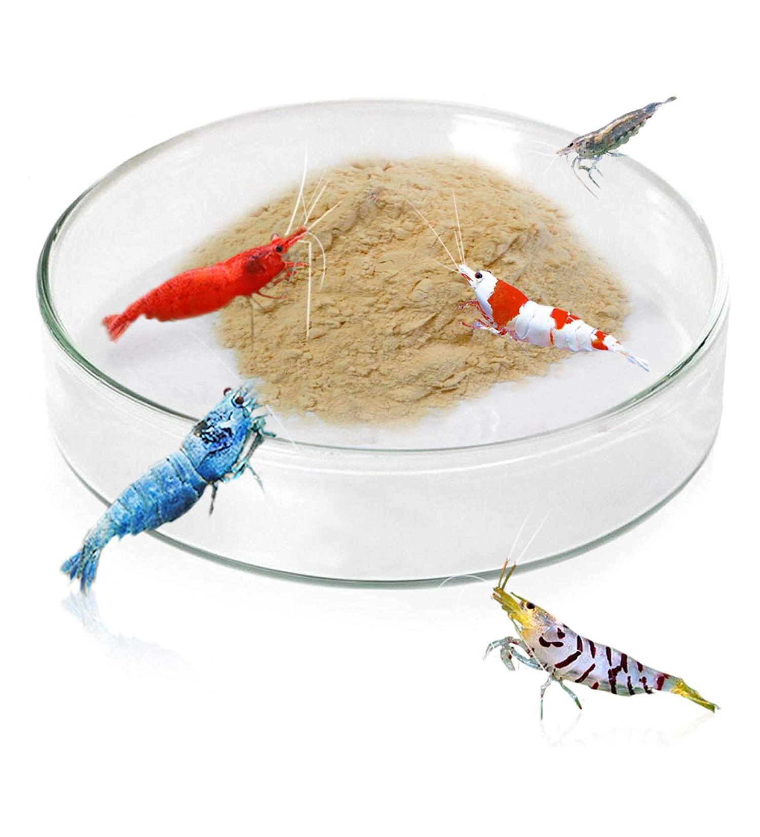 Heavy-Duty Tough Borosilicate Glass Shrimp Feed Dish - Prevent Spills, Never Run Out of Food for Shrimps - Ideal for Tubifex Worms and Fish Food - Buy Online on SooperMarket.com