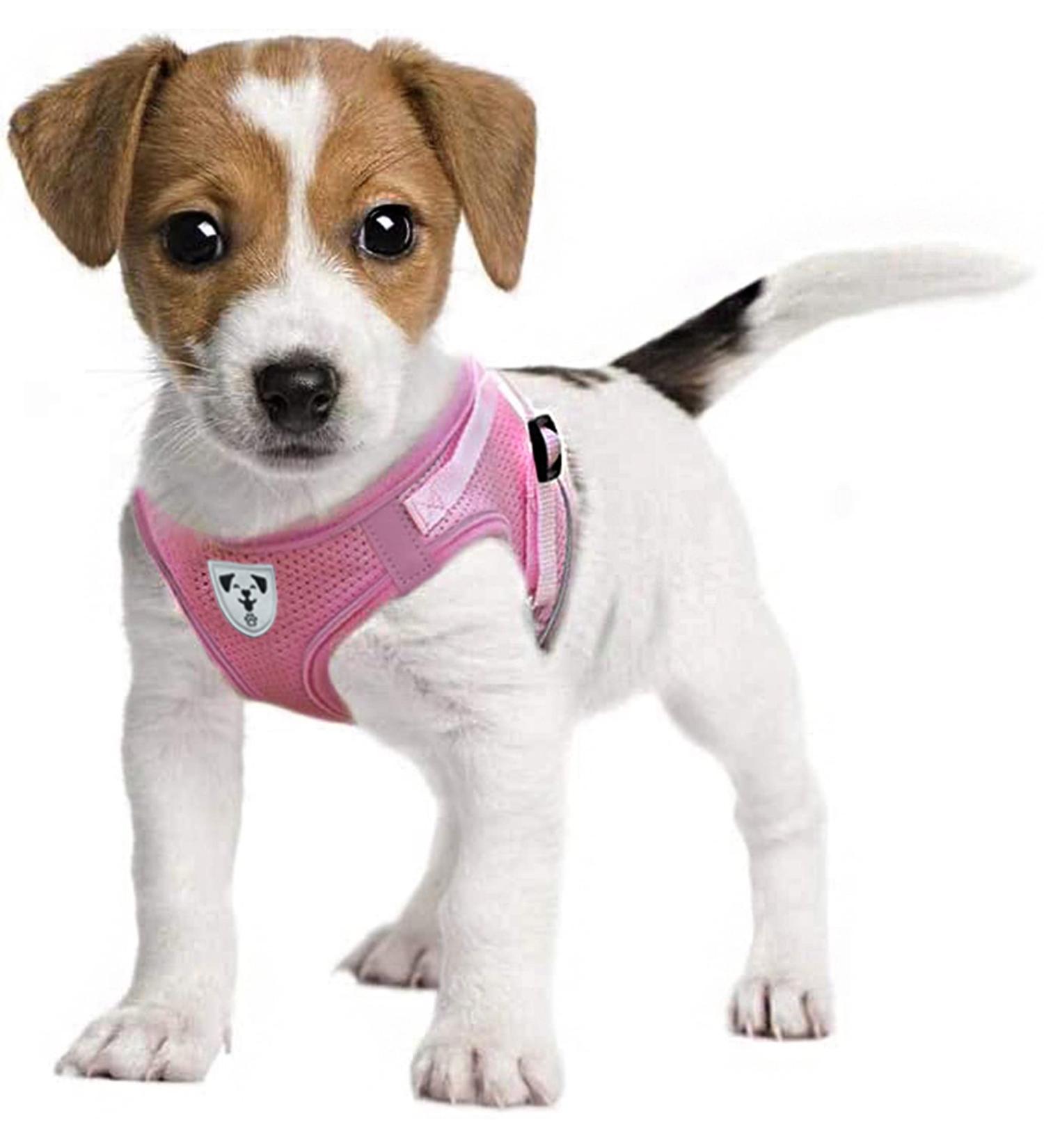 Pet's Playground XS Pink Small Dog Harness for Puppies - UK | Dog Harness for Small Dogs - Buy Online on SooperMarket.com