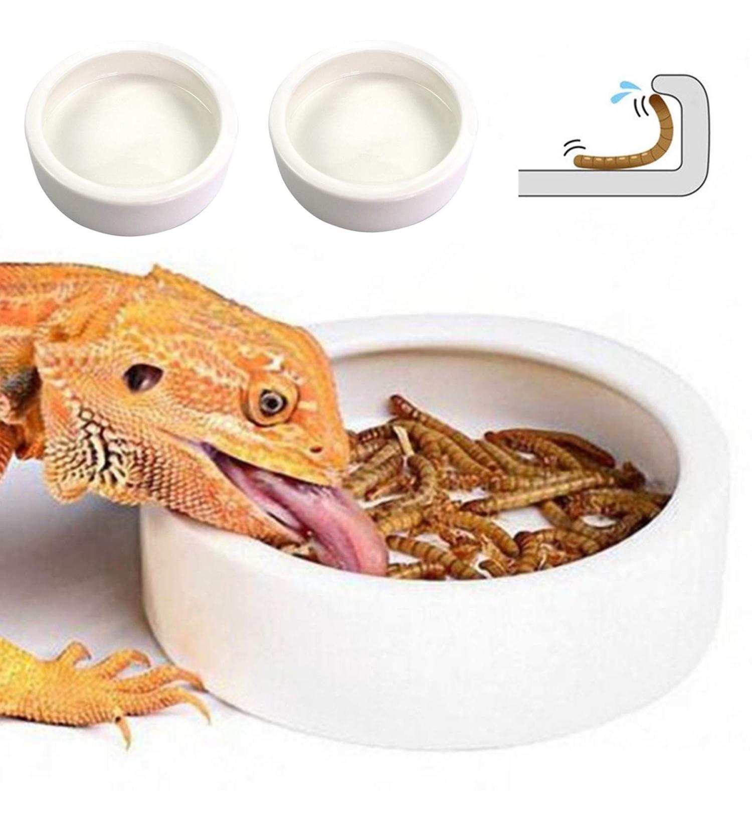 Small Ceramic Reptile Food Dish Bowl & Water Dish Set - 2 Pack | Ideal for Lizards, Geckos, Bearded Dragons, Chameleons, Hermit Crabs | Anti-Escape Design for Mealworms, Crickets, Superworms | 2.75in White - Buy Online on SooperMarket.com