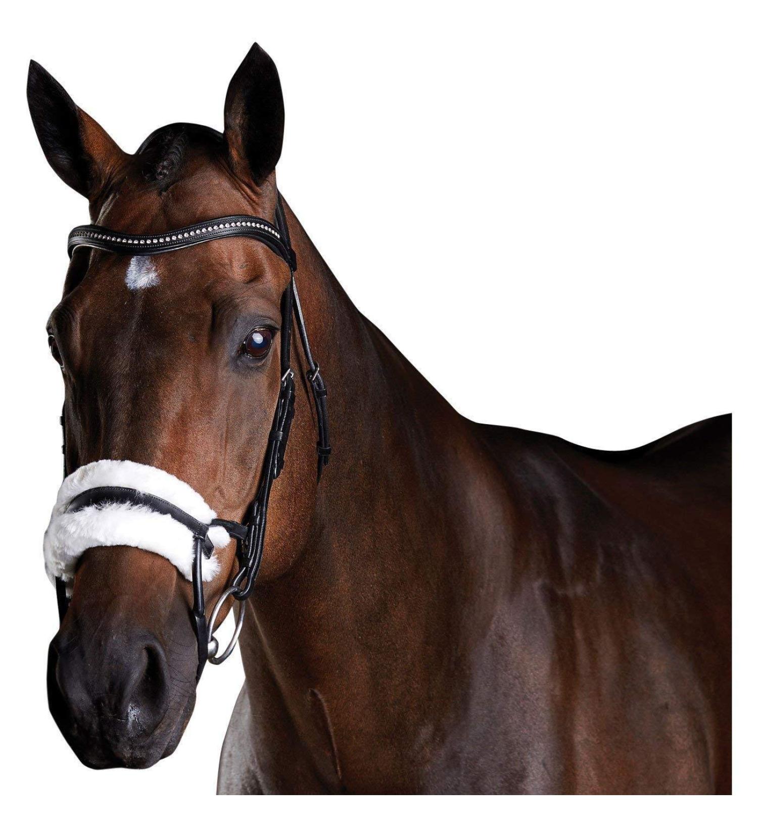 Collegiate ComFiTec Sheepskin Bridle Black Full Size