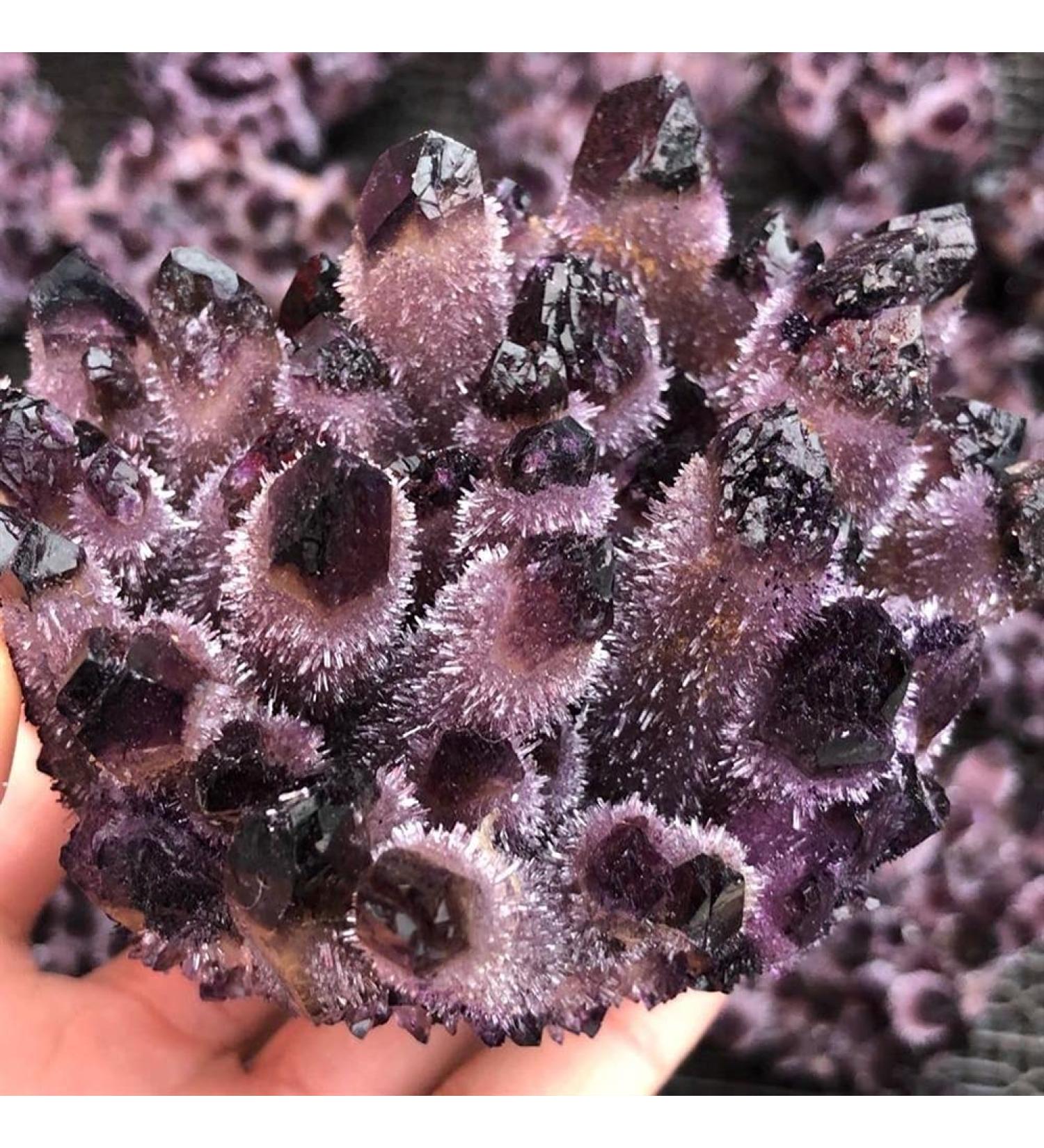 Hot Day Crystal Cluster Coffee Amethyst Processing from The Crystal Cluster FZUGEDRLI - Buy Online on SooperMarket.com