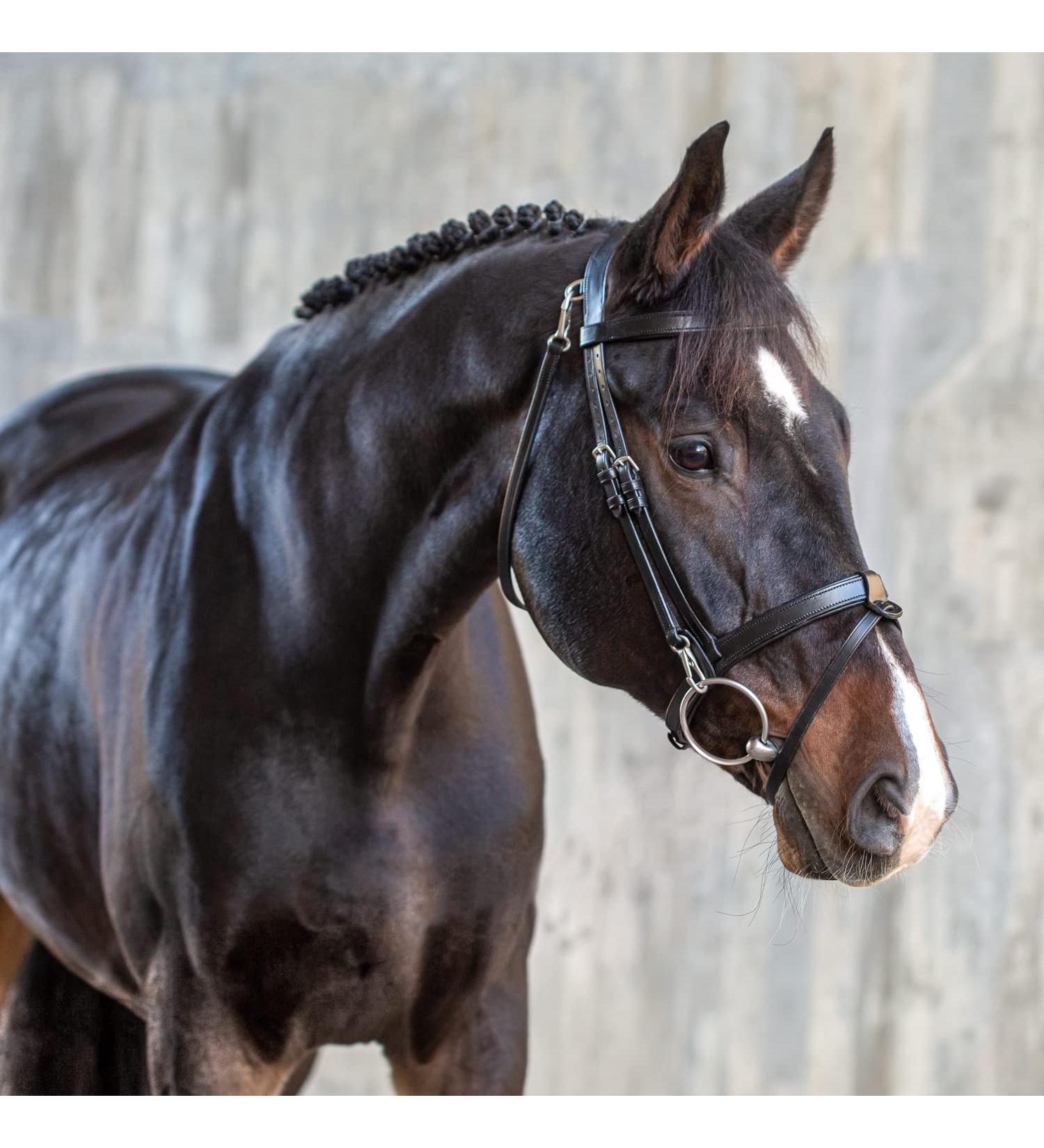 Shop Sunride English Combined Bridle Berlin with Reins - Soft Real Leather Adjustable & Anatomical for Ponies - Black - Buy Online on SooperMarket.com