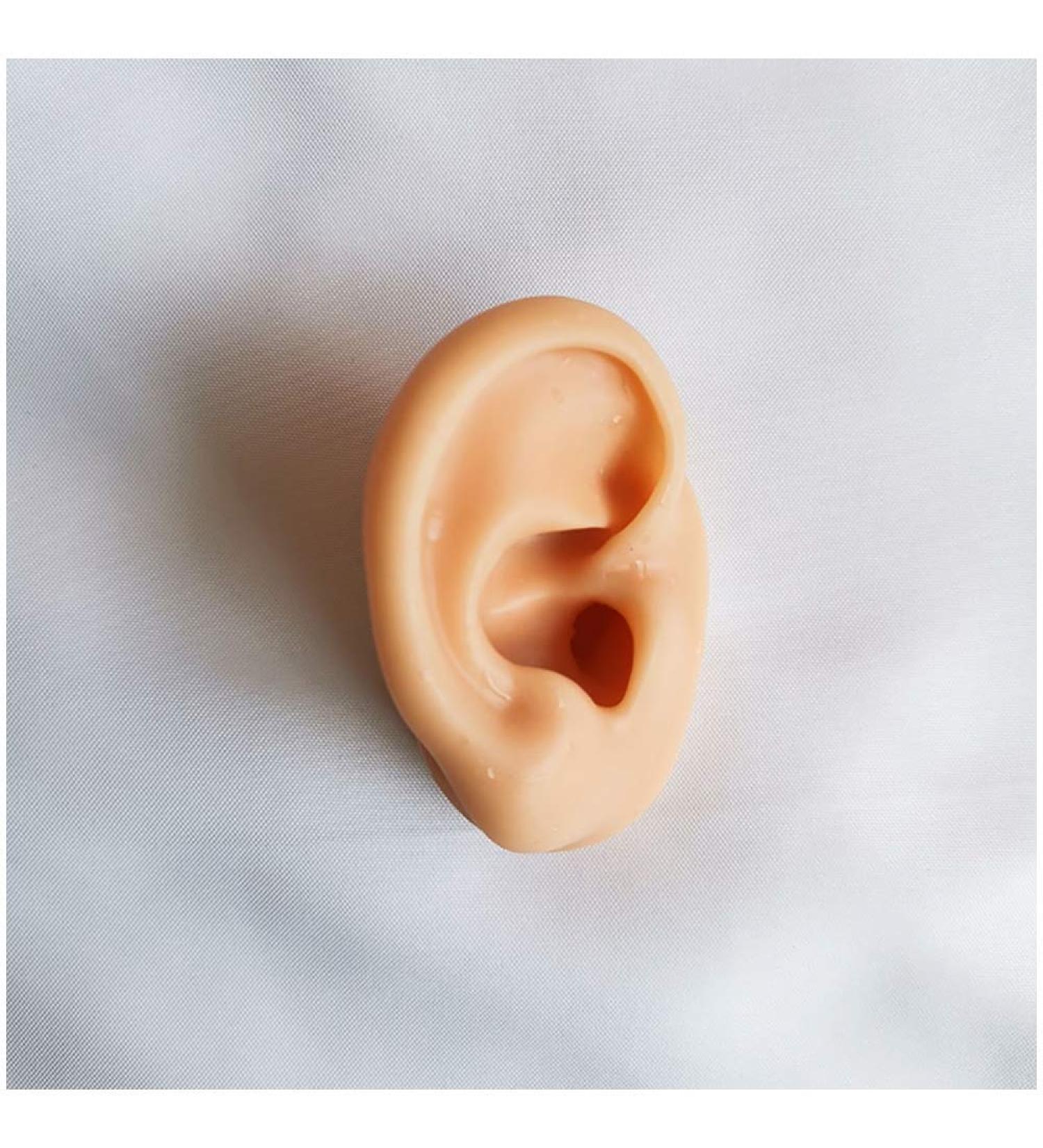 Flexible Silicone Ear Model - Ear Simulation Template with Acupuncture Details Practice Choose Studs Earring Display Accessories Left - Buy Online on SooperMarket.com
