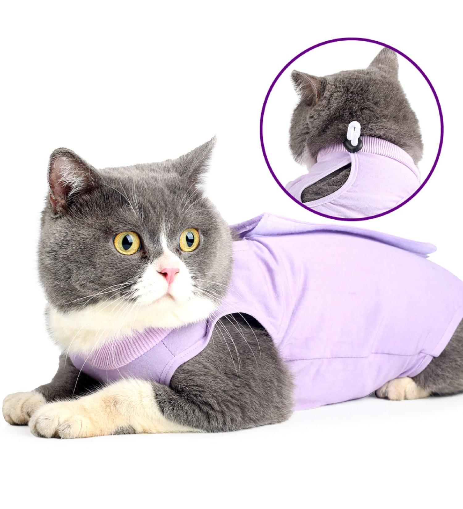 LIANZIMAU Cat Surgical Recovery Suit - Purple Medium - E-Collar Alternative & Pajama for Abdominal Wounds - Indoor Pet Clothing - Buy Online on SooperMarket.com