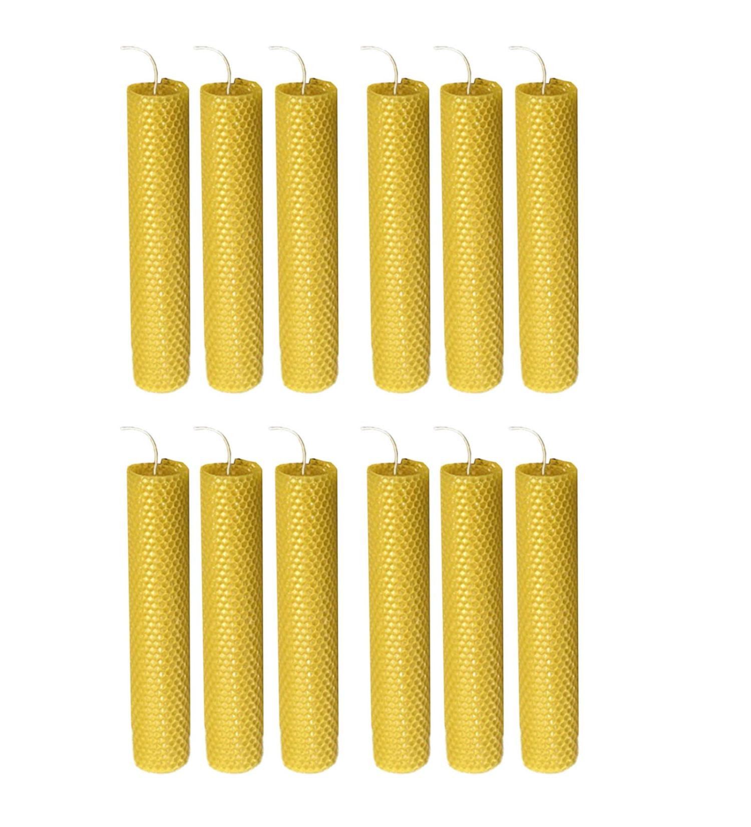 Tebi 12PC Wax Leaves for Christmas Crafts | DIY Decorations for Kids & Adults | International Shipping - Buy Online on SooperMarket.com
