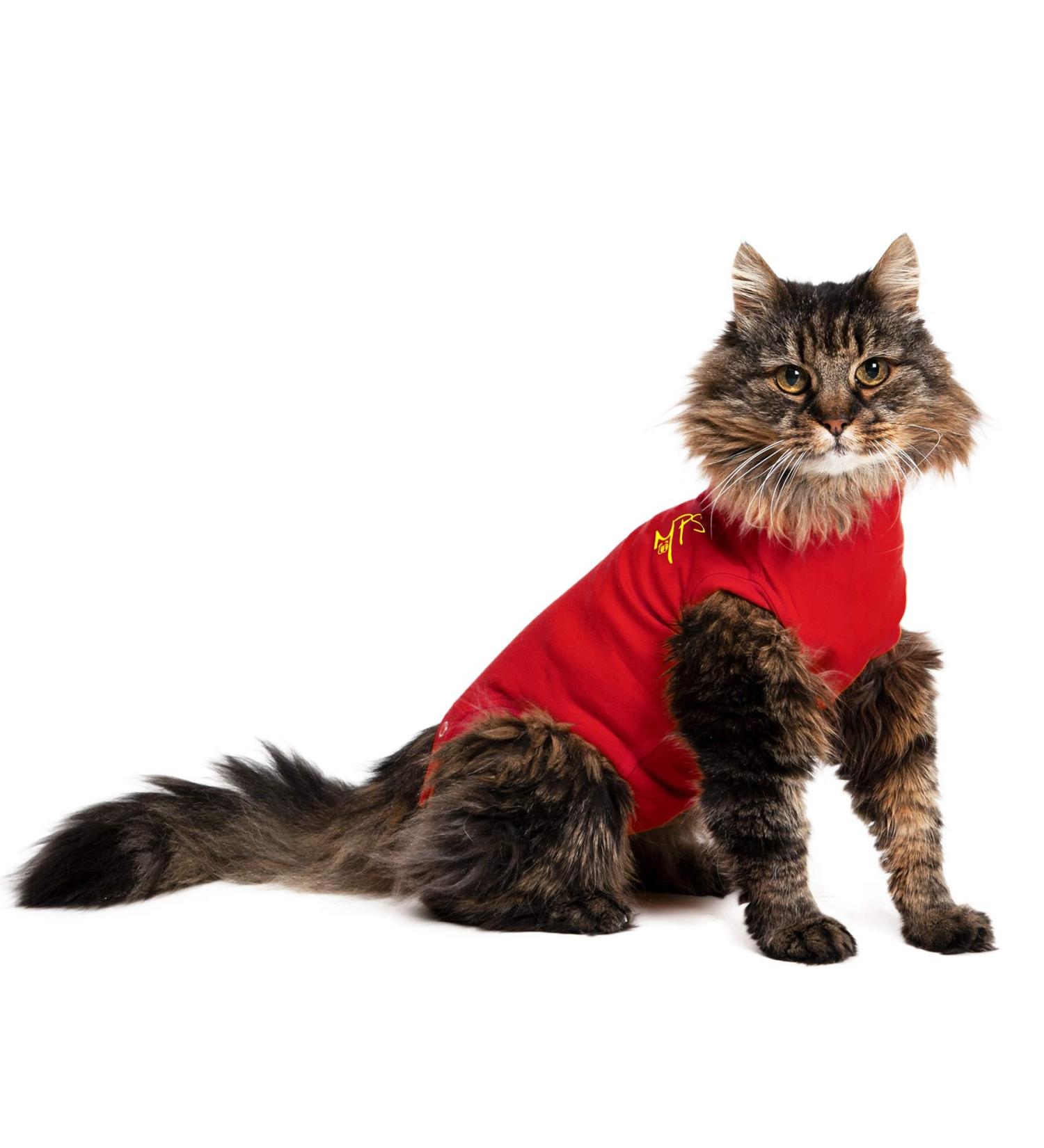 MPS Medical Pet Shirt Cat Surgery Recovery Suit Red X-Small - Buy Online on SooperMarket.com
