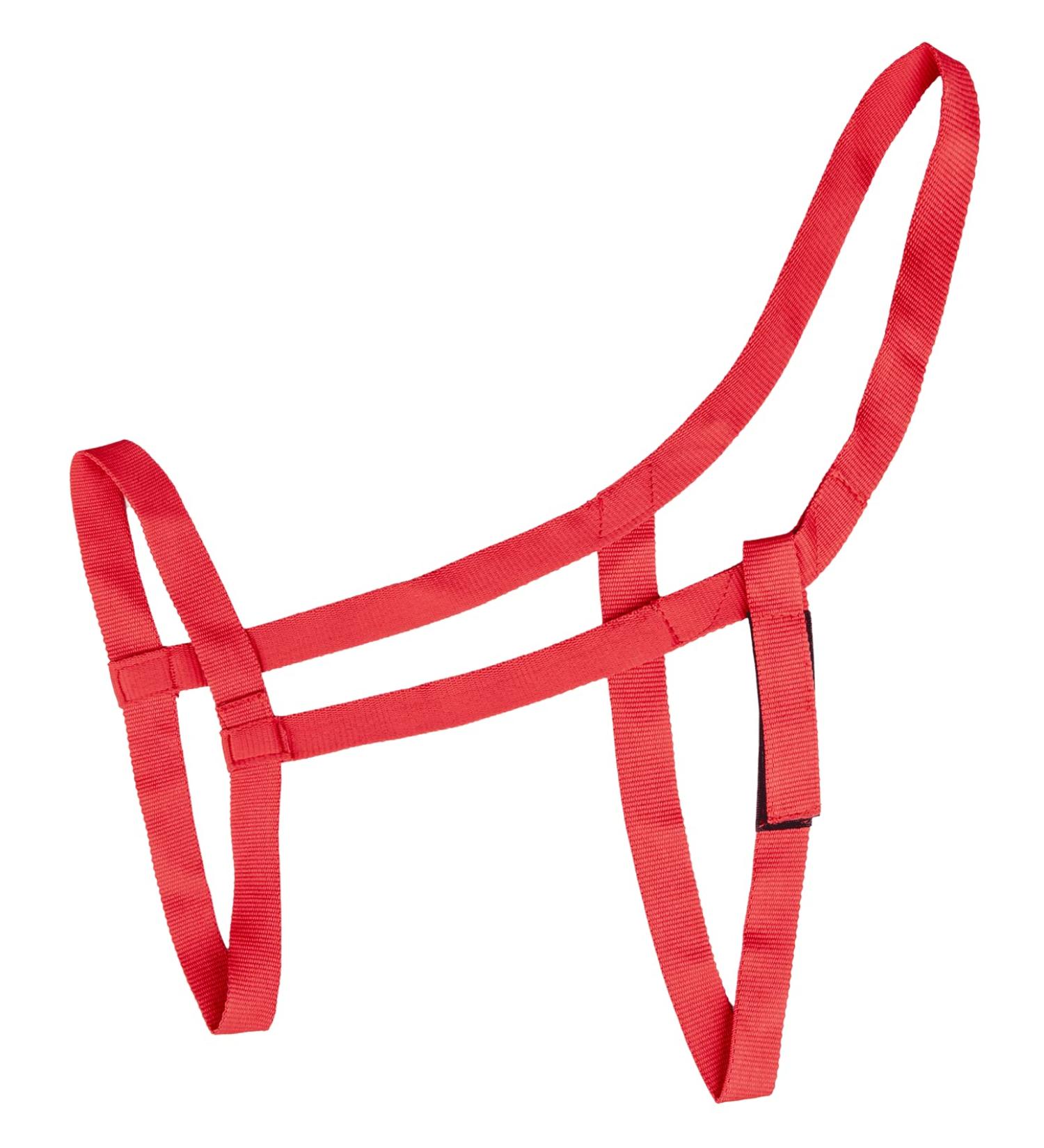 WALDHAUSEN pasture halter warmblood red Red WB