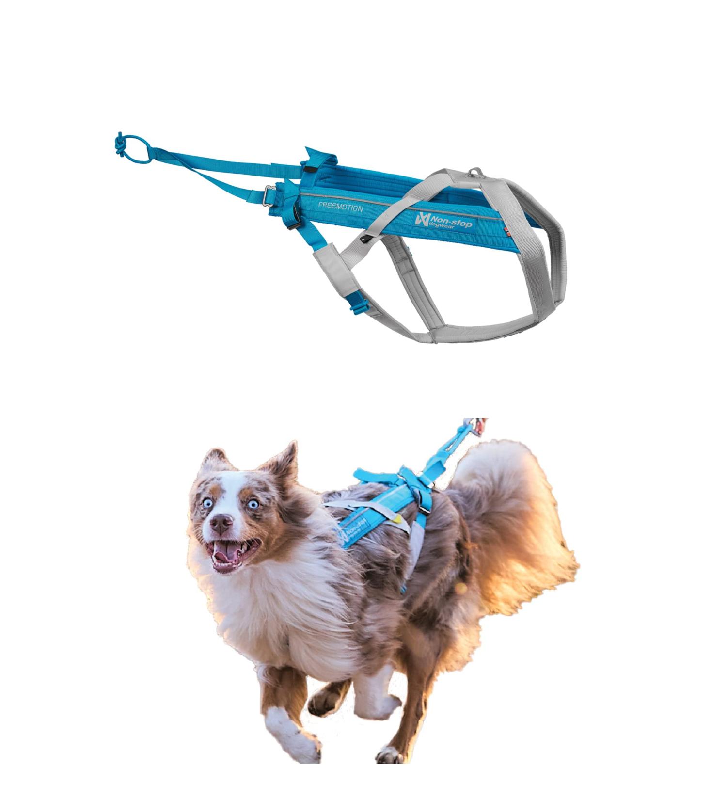 Non-stop dogwear FREEMOTION Harness 5.0 | Blue/Grey | Versatile Dog Harness for All Sports | Size 3 - Buy Online on SooperMarket.com