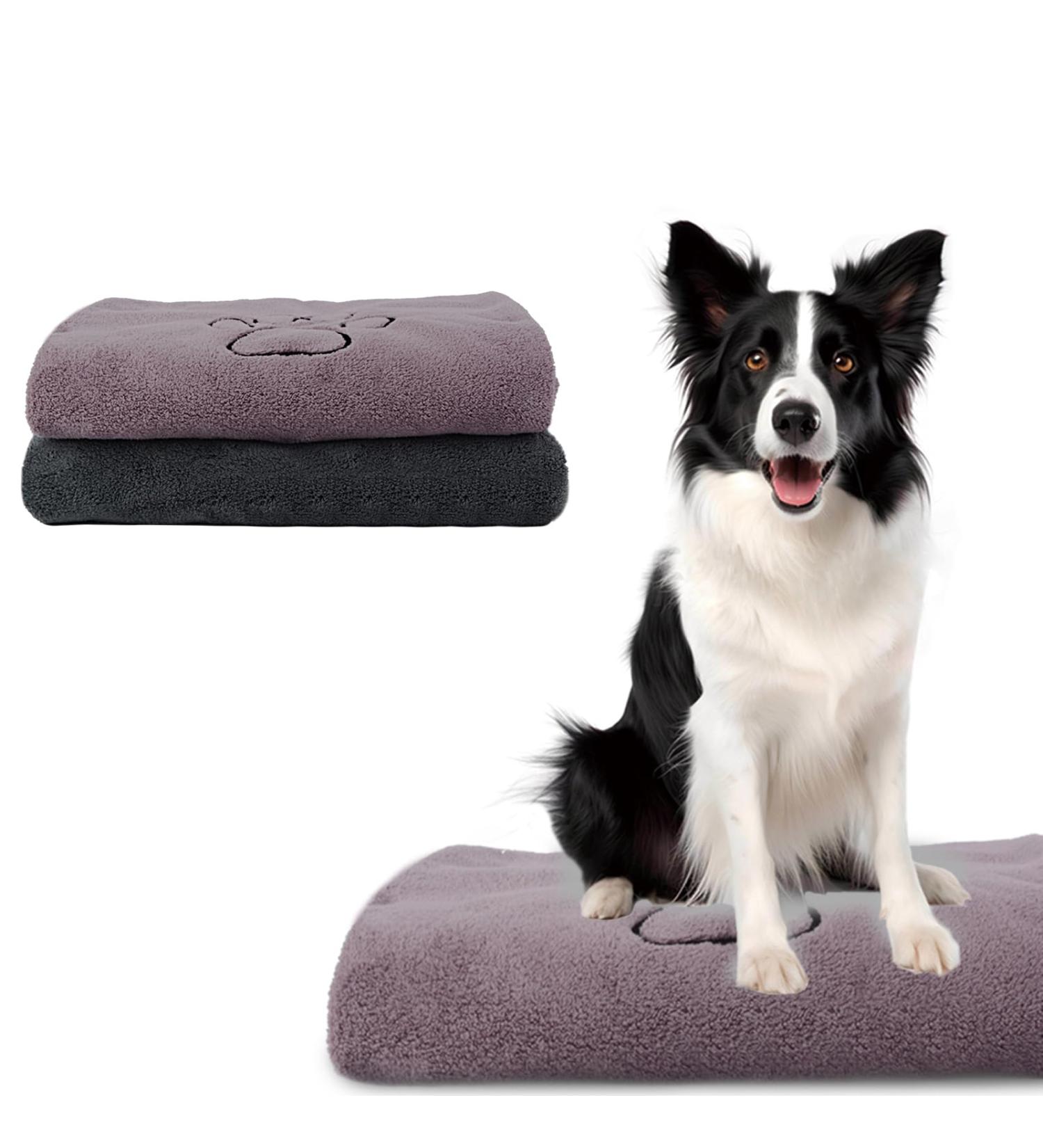 Kinhwa Super Absorbent Microfiber Pet Towel for Dogs & Cats | 2 Pack (50x90cm) - Gray & Violet | Ultimate Dog Bath Towel for Fast Drying - Buy Online on SooperMarket.com