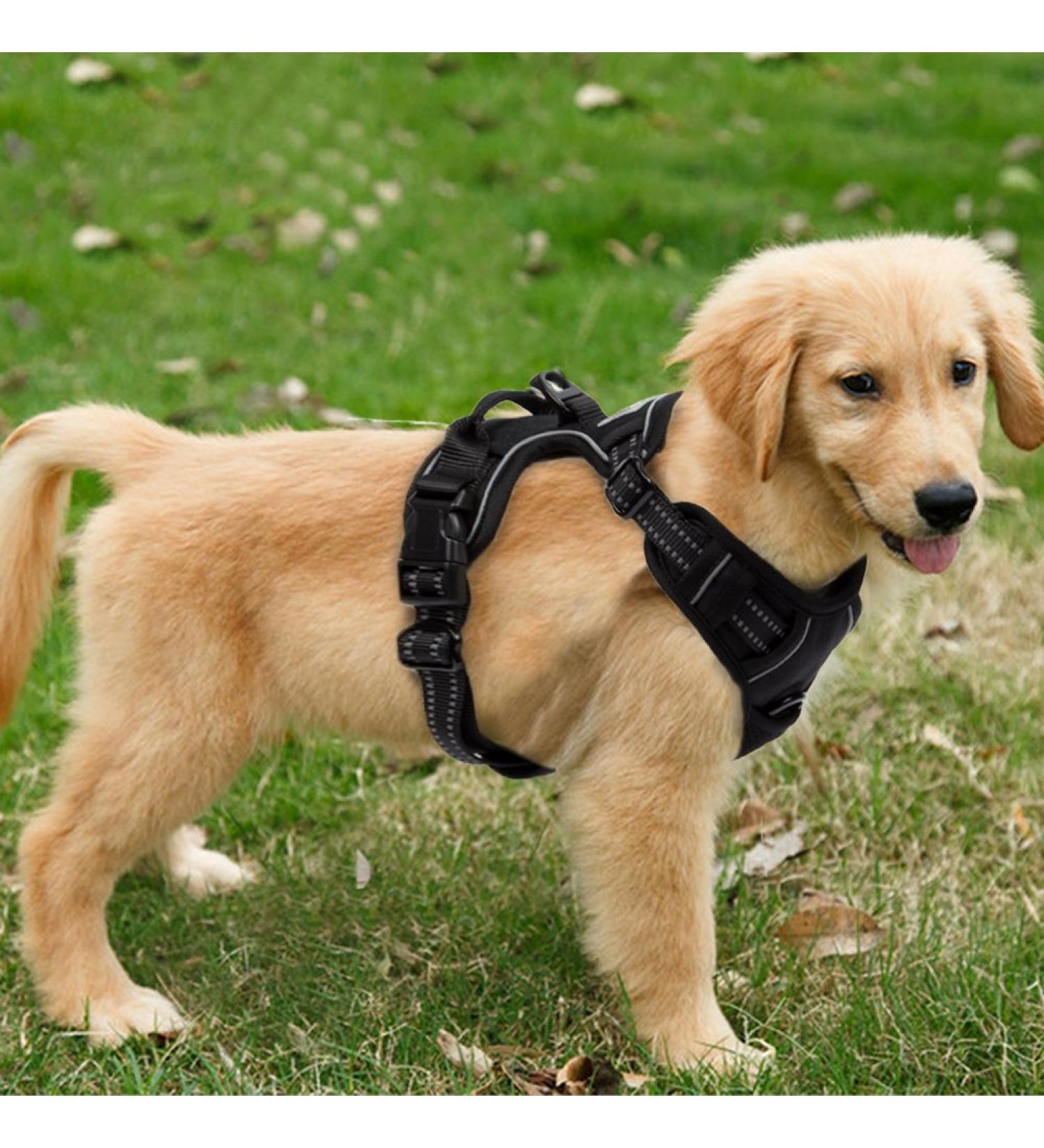 Fullberg Adjustable No-Pull Dog Harness for Small Medium & Large Dogs - Soft Padded Breathable Safe Design - Buy Online on SooperMarket.com