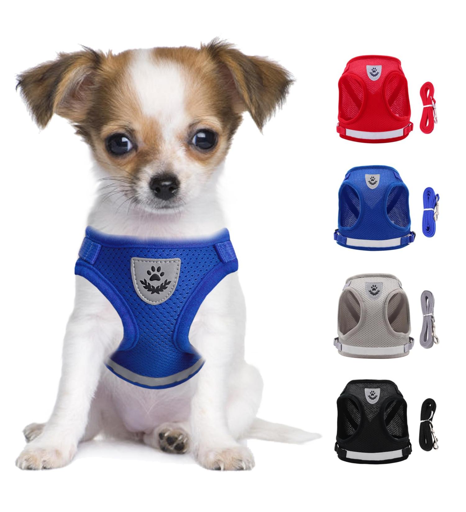 Buy Reflective Soft Padded Dog Harness & Cat Dishes for Small Dogs - Air-Mesh Leash Included | Perfect Fit for Puppies & Cats (Chest 29-33cm) - Blue - Buy Online on SooperMarket.com