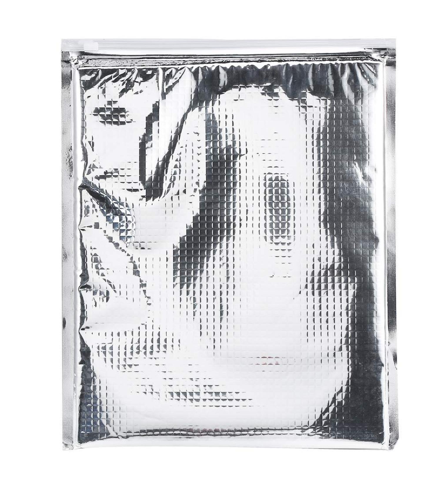 5Pcs/Set Aluminum Foil Insulated Food Storage Bag Waterproof Food Storage Insulated Sandwich Bags for Travel School Picnic 35*40cm - Buy Online on SooperMarket.com