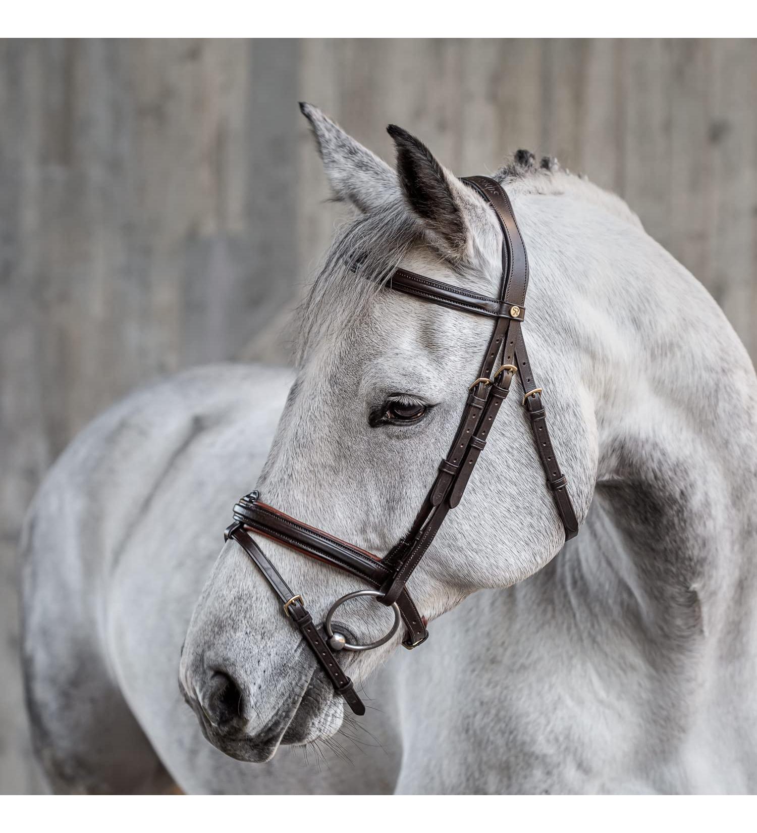Buy Sunride English Combined Bridle Hawaii - Soft Real Leather Adjustable & Anatomical Reins for Ponies | Brown/Cognac - Buy Online on SooperMarket.com