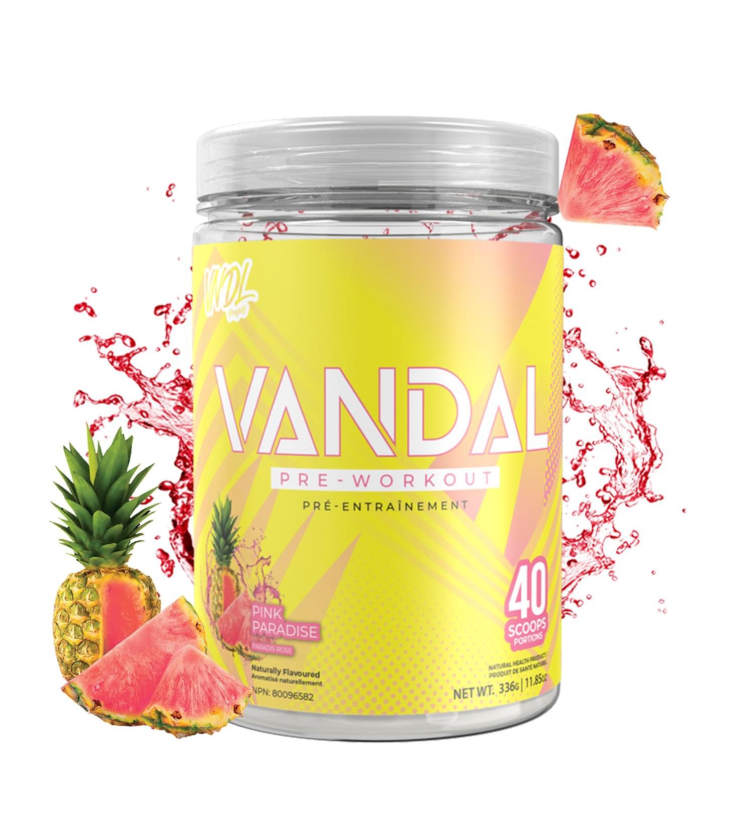 VNDL Pre Workout Powder for Men & Women- Enjoy a Clean Energy Boost with No Sugar Featuring L-Citrulline & L-Tyrosine for Improved Endurance- Nootropic Formula in Pink Paradise Flavor - 40 Servings - Buy Online on SooperMarket.com