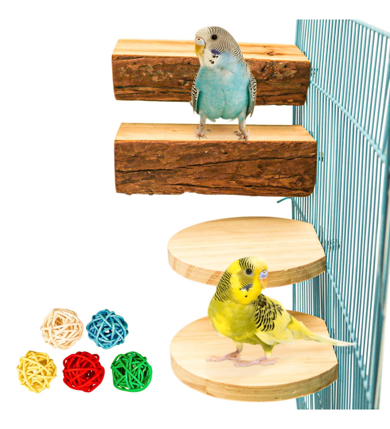 Reyshin Bird Seating Board Set - 4 Pieces Bird Playground Accessories with 5 Rat Balls for Budgies Canaries and Lovebirds - Ideal Bird Cage Toys - Buy Online on SooperMarket.com