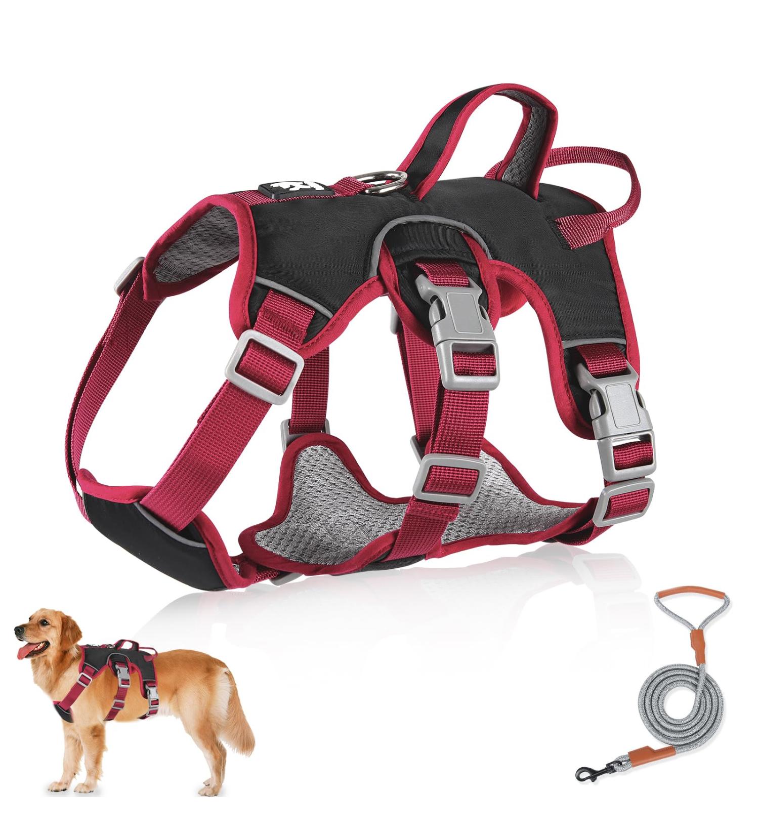 Multi-Purpose Dog Harness & Leash Set Outbreak-Proof Anti-Train Safety Gear for Small to Medium Dogs (Black Size S) - Buy Online on SooperMarket.com