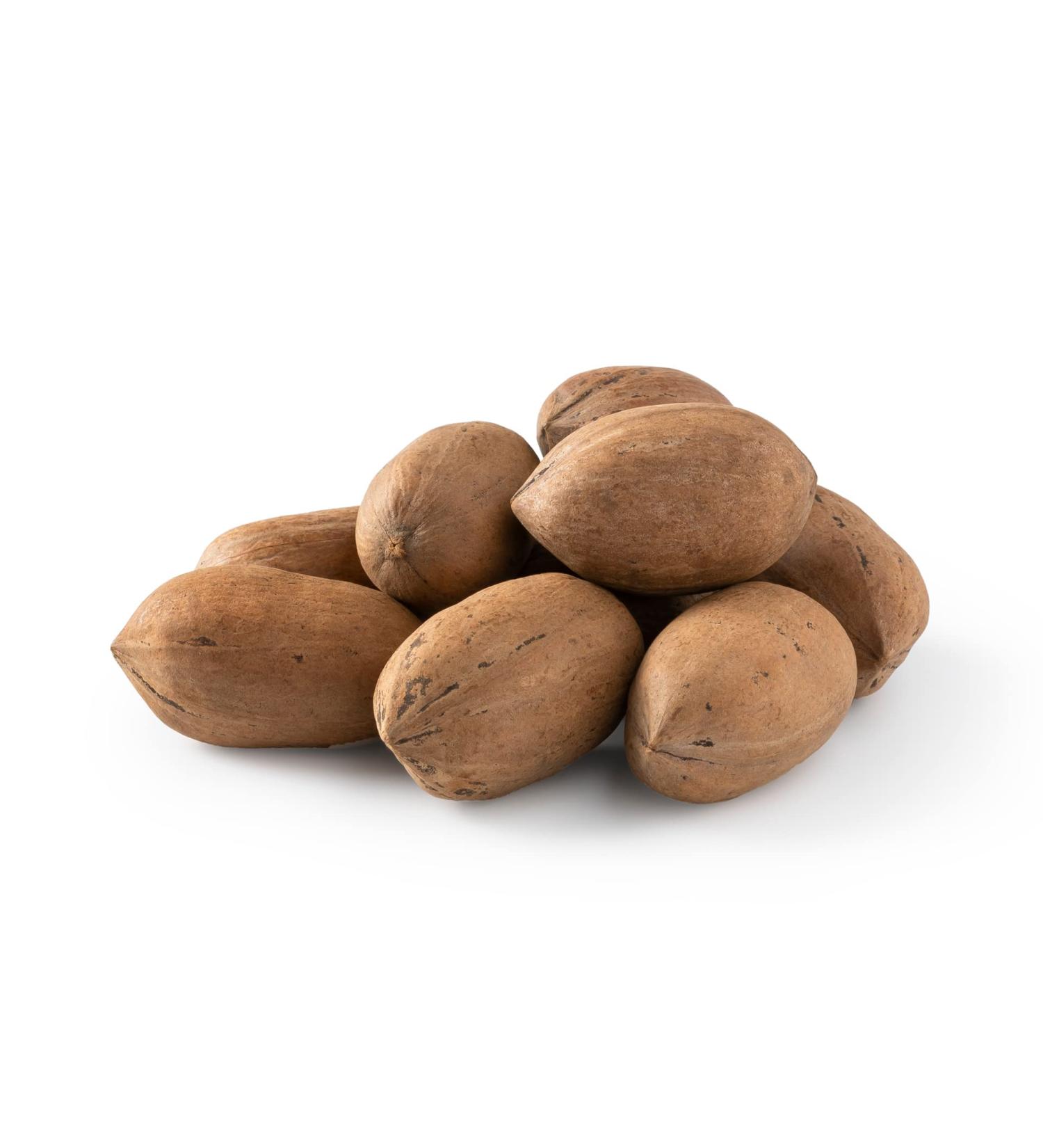 Pecans In Shell - Fresh Raw Unsalted Whole Nuts - 2 lbs Resealable Bag - Natural Buttery Taste, Easy to Crack - Buy Online on SooperMarket.com