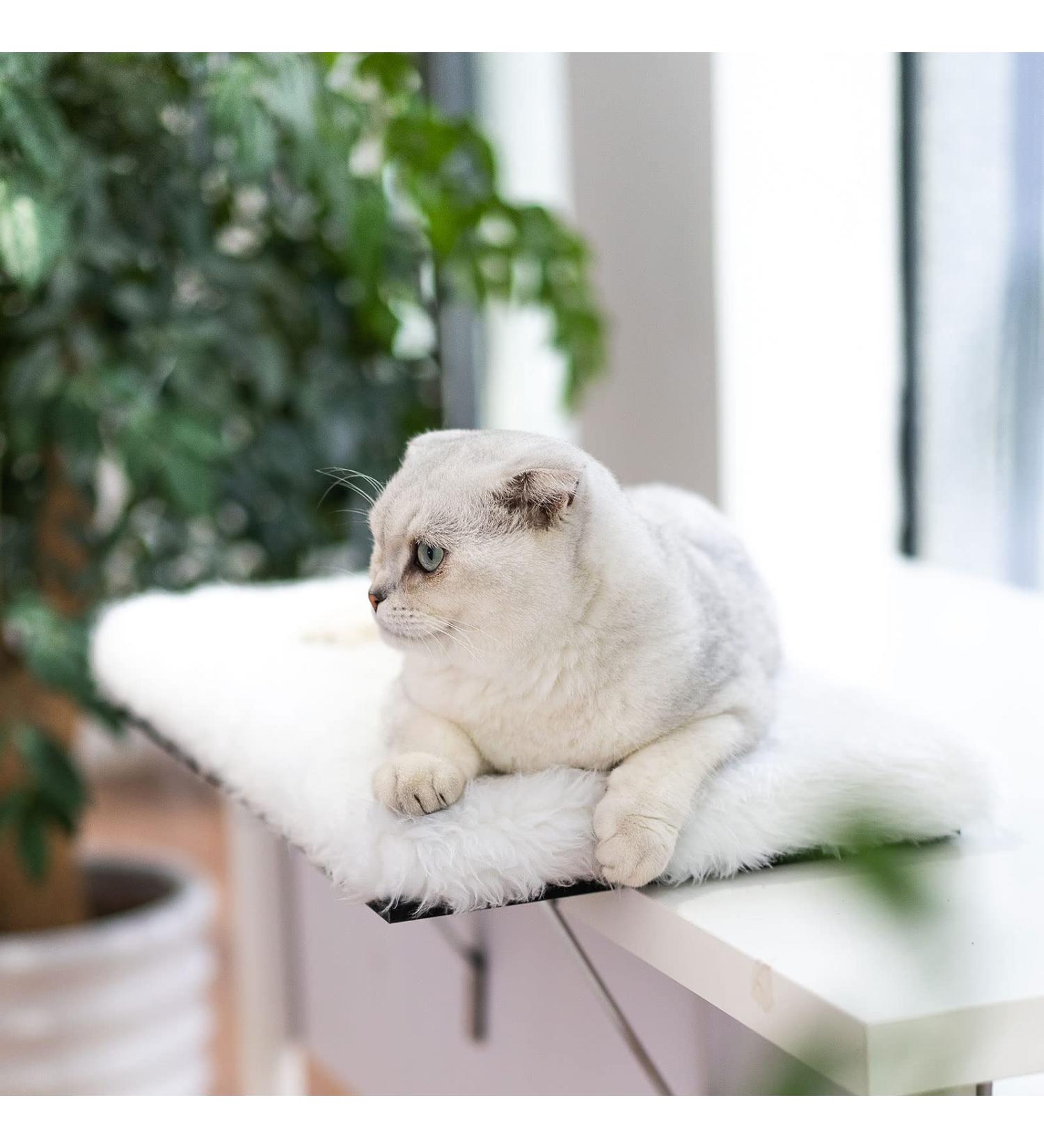 Topmart Window Sill Cat Perch - Large Cat Window Seat and Bed for Ultimate Kitty Comfort - Buy Online on SooperMarket.com
