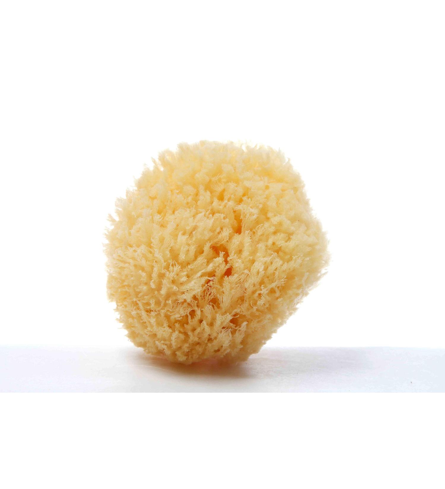 Cosmetics sponge 3 pieces (make -up distance/slimming pads) 5-6 cm - plastic -free - cosmetic sponge/natural sponge/sea sponge from Greece - Premium quality & vegan |Aristos
