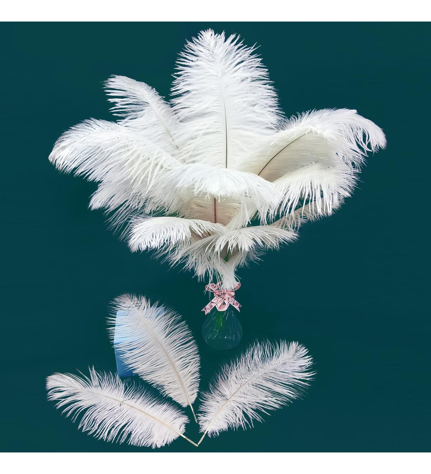 Natural White Ostrich Feathers 10-12inch - Pack of 12 for Wedding & Party Centerpieces - Easter Carnival Decor & Flower Arrangement - Home Decorations - White Feathers - Buy Online on SooperMarket.com