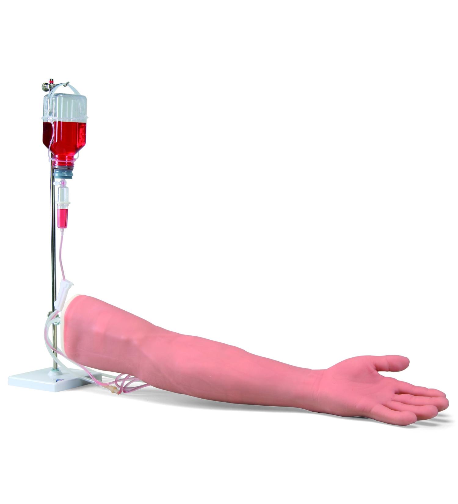3B Scientific P50 I.V. Injection Arm Model 29.1-Inchx7.5-Inchx5.5-Inch Size - Buy Online on SooperMarket.com