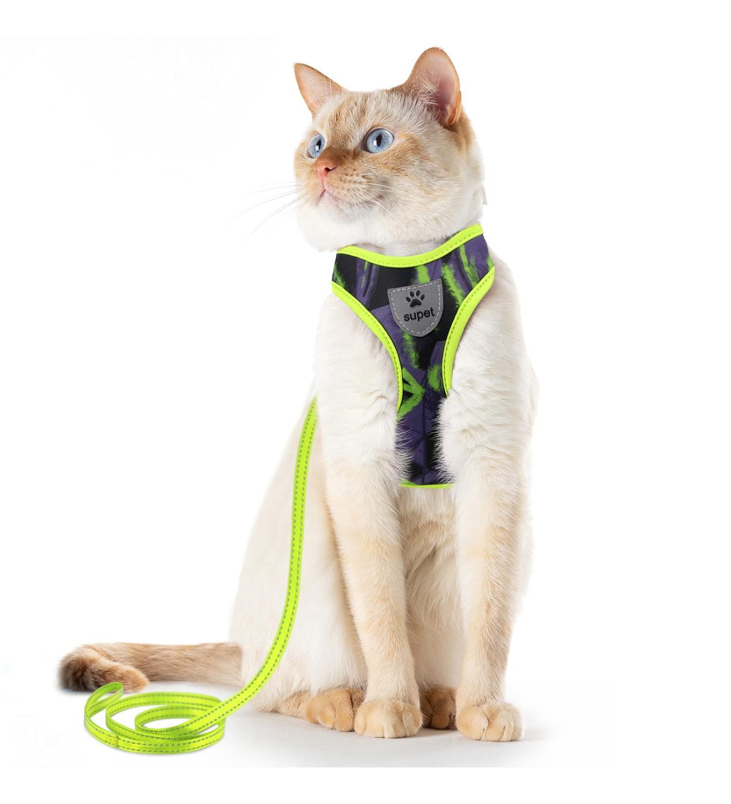 Supet Cat Dishes & Line Set - Perfect Feeding Solution for Kittens | International Shipping Available - Buy Online on SooperMarket.com