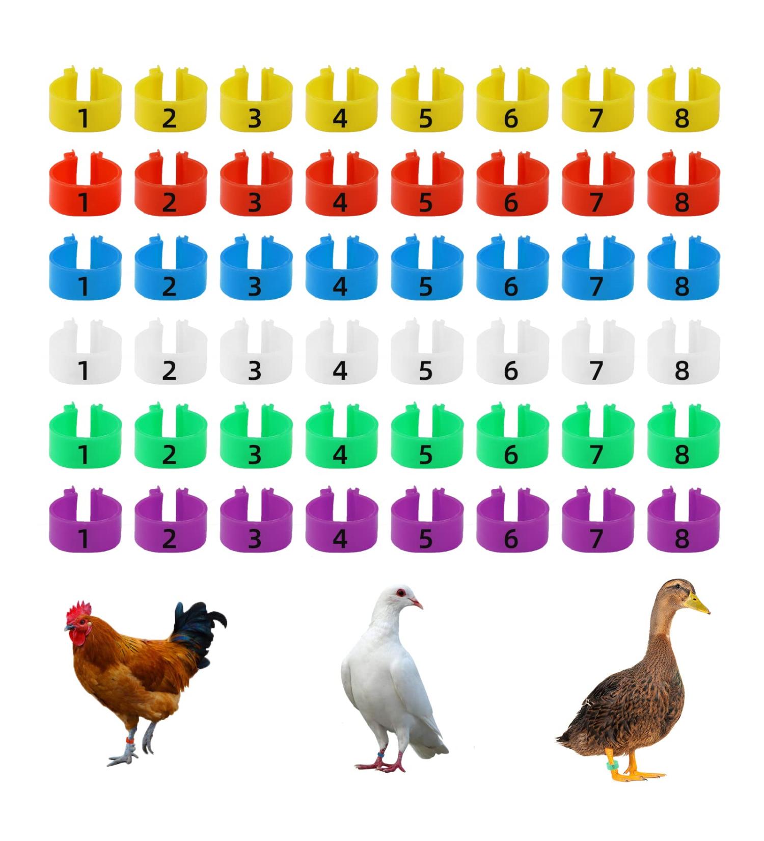 Cywvynyt 48 Multi-Colored Chicken Legrings - Numbered Clip-On Poultry Leg Straps for Gamefowl Ducks Geese & Guinea (18mm) - Buy Online on SooperMarket.com
