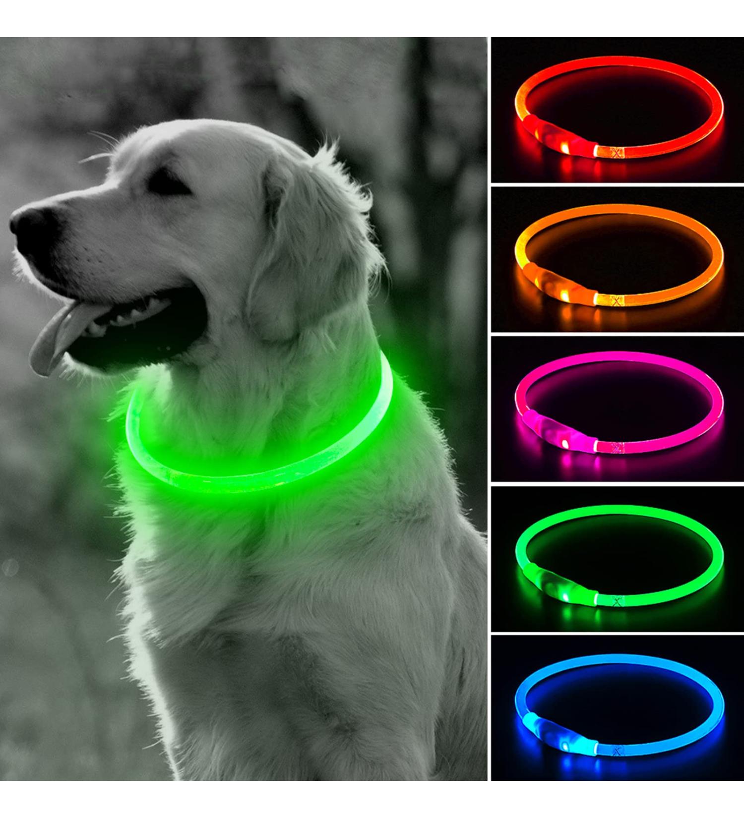 BSEEN LED Dog Collar Light - USB Rechargeable Glowing Collar for Small, Medium & Large Dogs in Green - Buy Online on SooperMarket.com