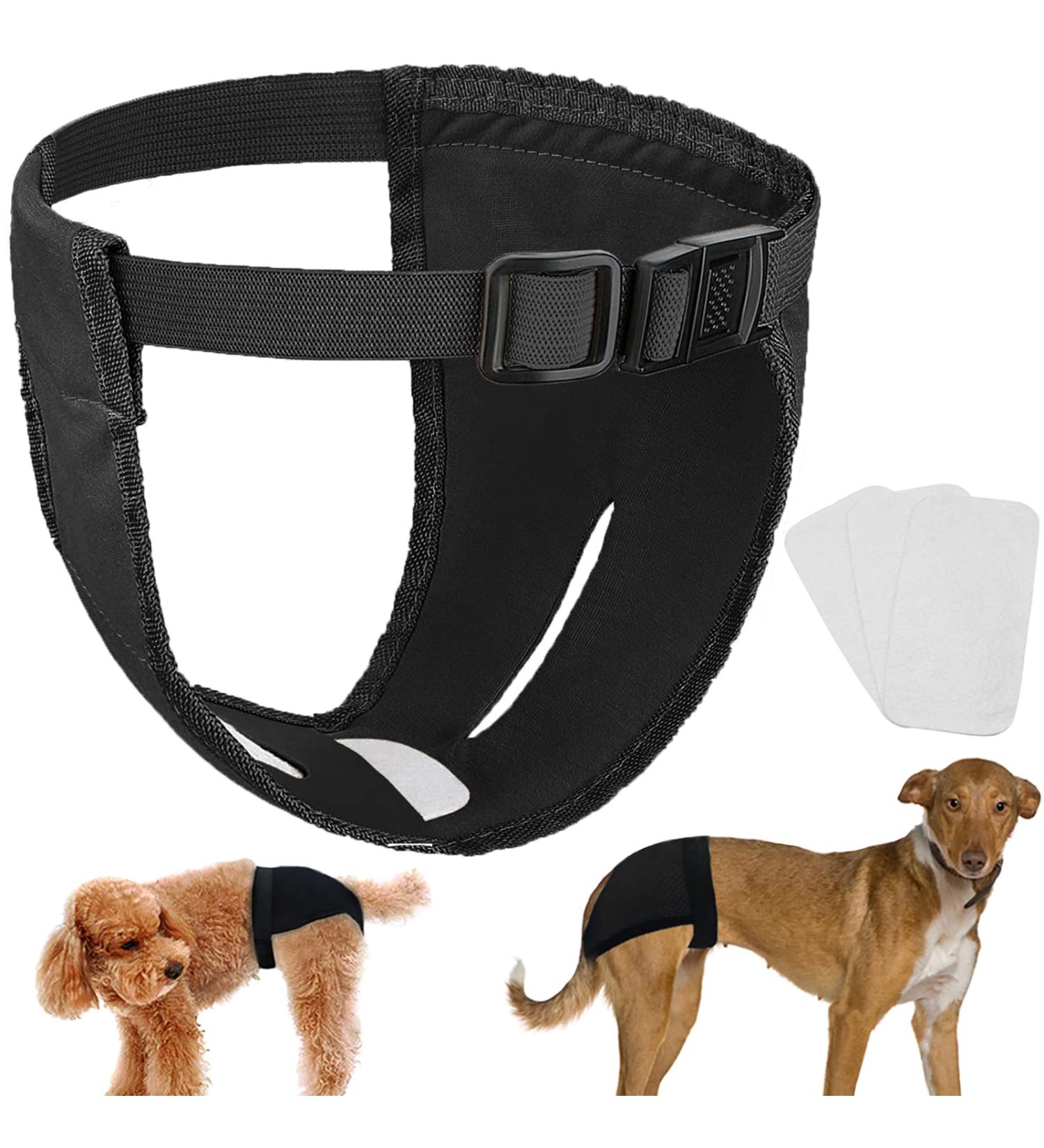 3-Way Pack Functions for Dogs - Washable & Durable Dog Accessories | Shop Now! - Buy Online on SooperMarket.com