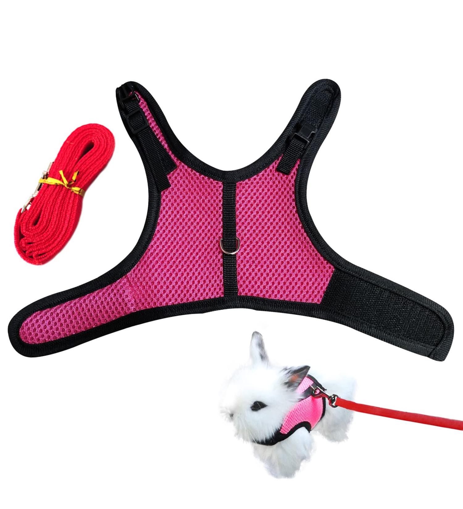 CHIPKART Small Pet Harness No Pulling Comfort Vest Guinea Pig Harness and Leash Set for Ferret Rats Bunny Hamster(L) - Buy Online on SooperMarket.com