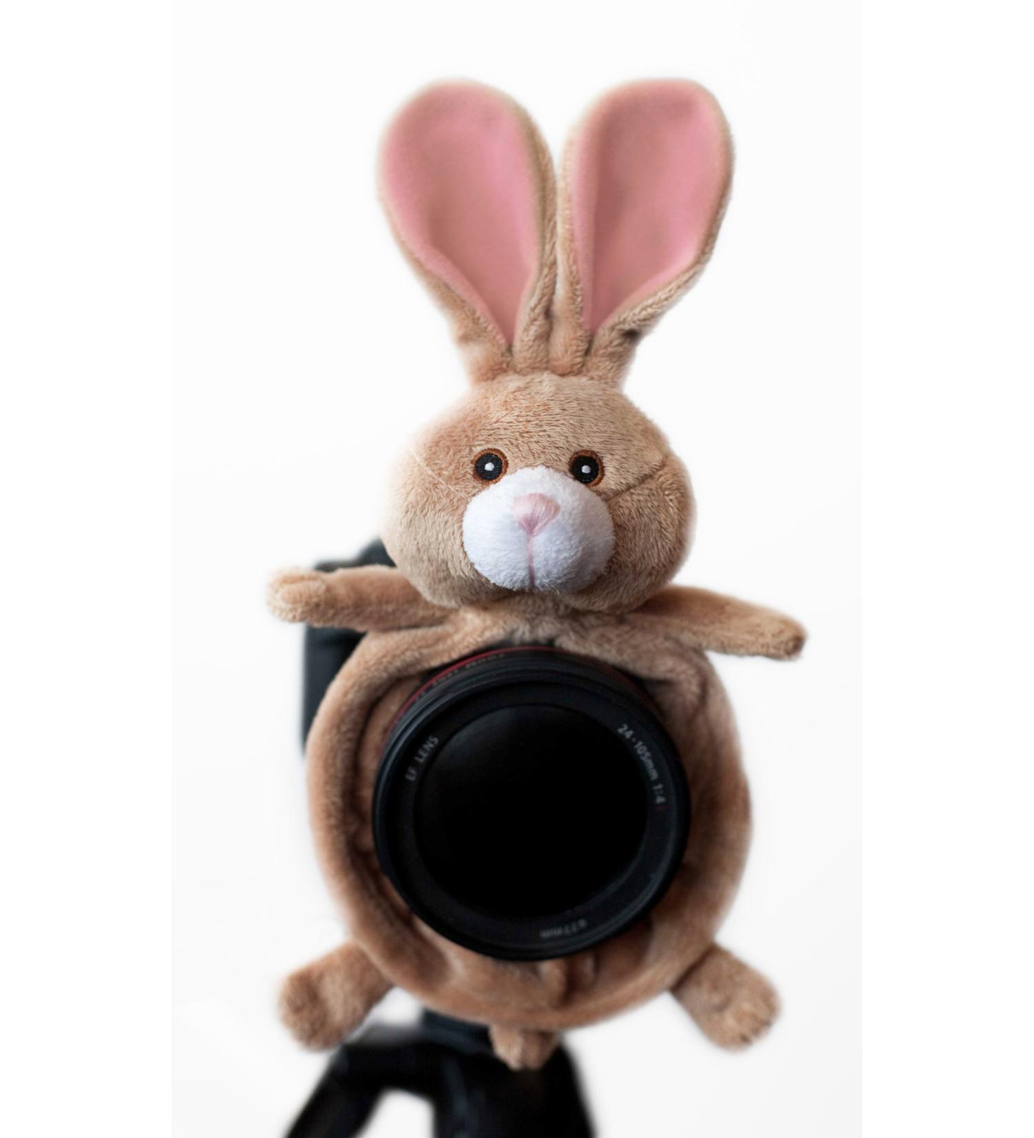 Shutter Huggers BUN001 Camera Lens Stand (Brown)