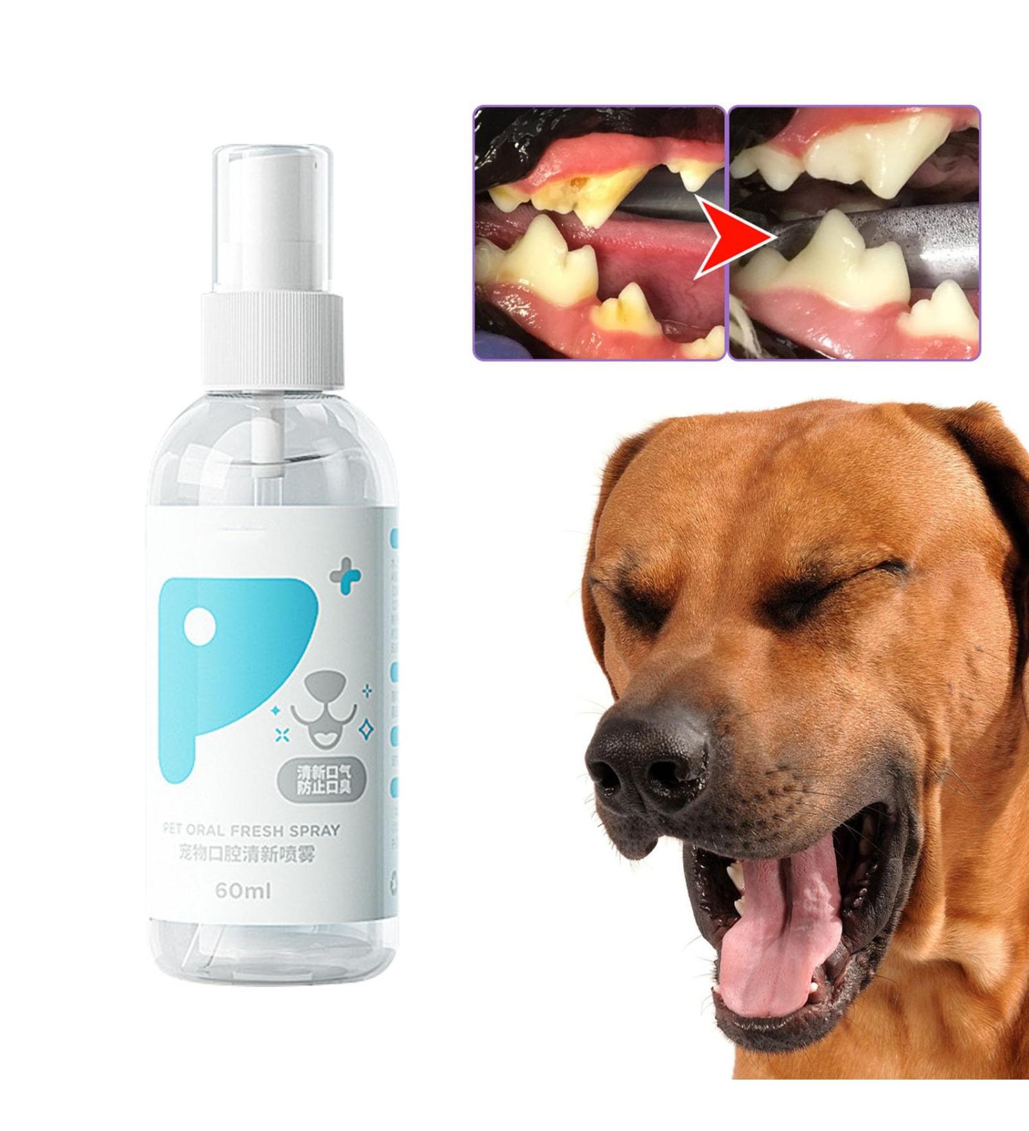 PUCHEN Teeth Cleaning Spray for Pet Pet Teeth Cleaning Spray 60ml - Cleaning Dog Teeth Spray Odors and Freshen Breath for Home Outdoor Travel Use - Buy Online on SooperMarket.com