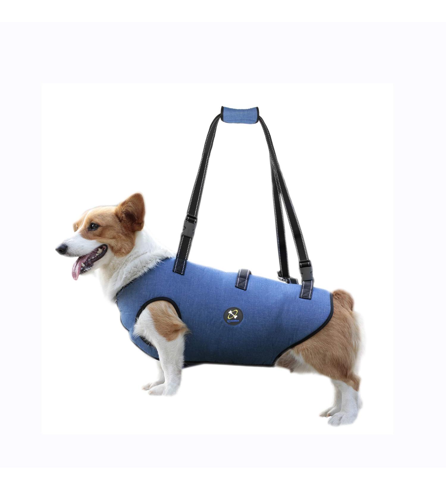 COODEO Dog Harness - Adjustable Lifting Belt for Pets | Support & Rehabilitation for Old & Disabled Dogs - Padded Breathable Straps - XS Blue - Buy Online on SooperMarket.com