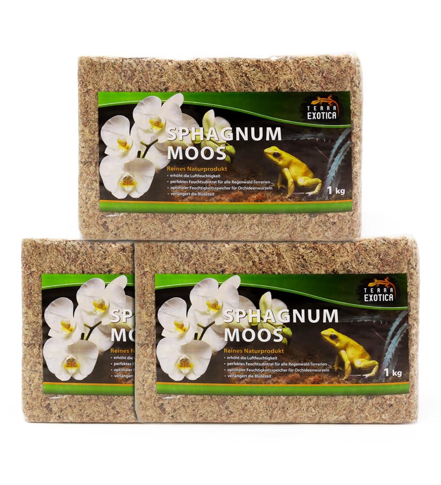 Buy Terra Exotica Sphagnum Moss (3x1 Kg) - Premium Peat Moss for Garden Houseplants & Terrariums - International Shipping Available - Buy Online on SooperMarket.com