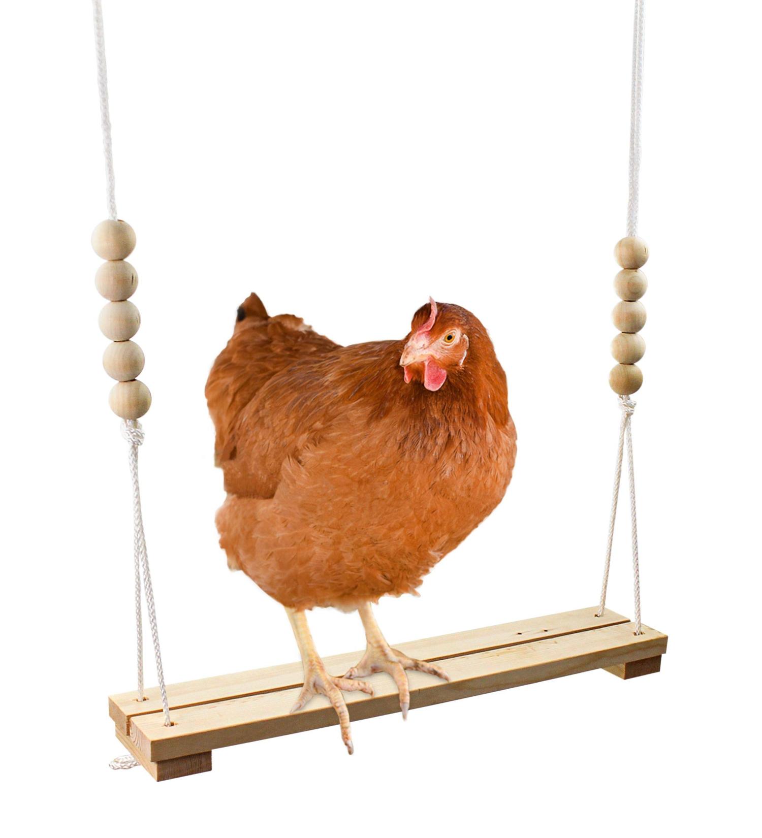 Handmade USA Chicken Swing Toy for Coop - Natural & Durable Perch for Rooster, Hens, Chicks - Entertainment & Stress Relief for Poultry & Parrots - Buy Online on SooperMarket.com
