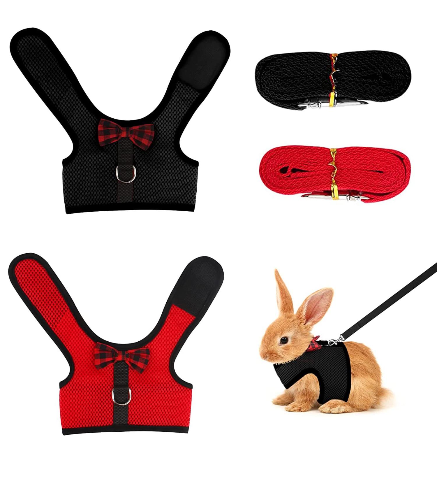 2-Pack Adjustable Pet Dishes & Leash for Rabbits Squirrels Bunnies Ferrets & Chinchillas - Ideal for International Shipping - Buy Online on SooperMarket.com