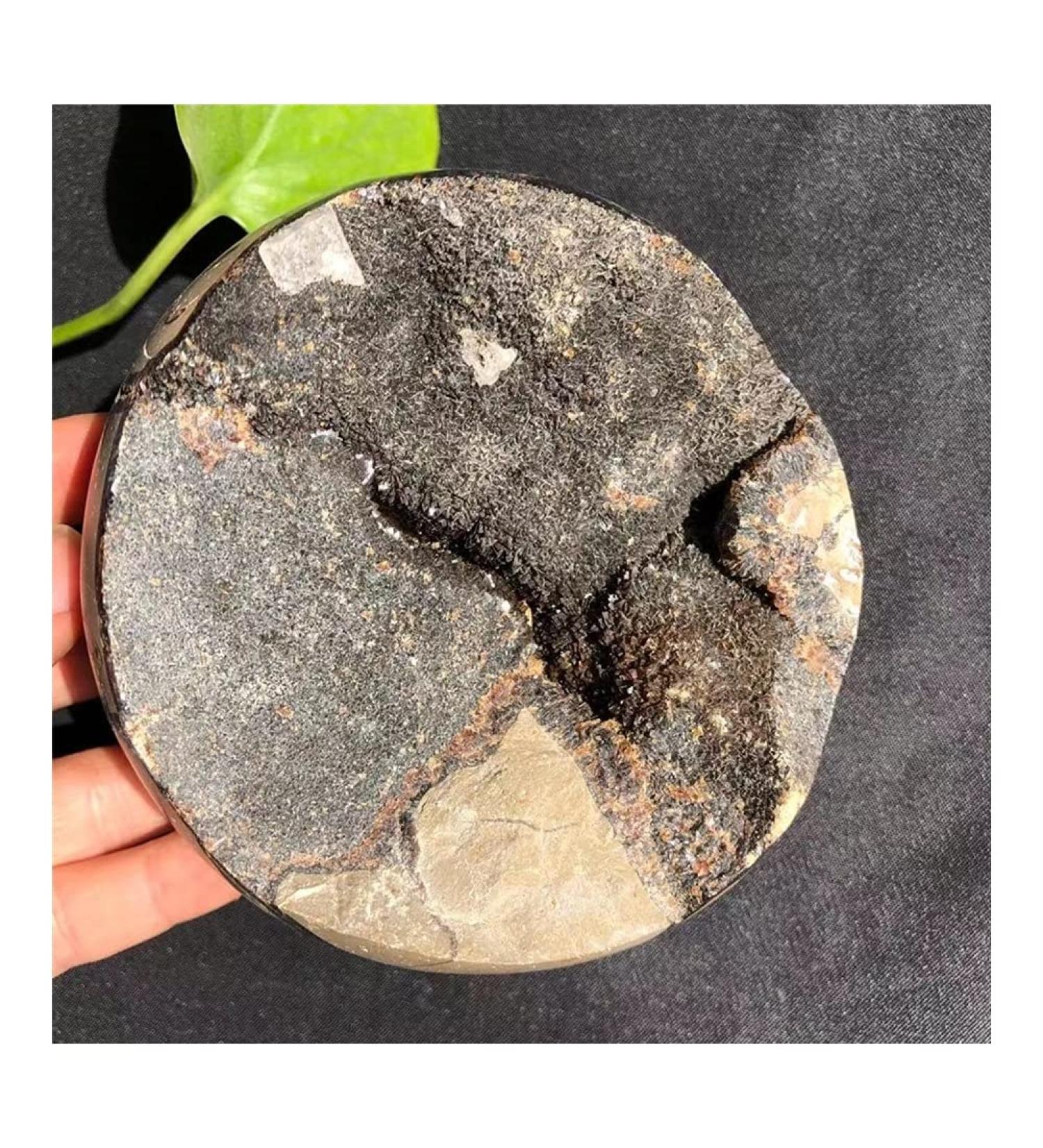 FUERLI Natural Stones and Minerals Large Beautiful Dragon septarian geode Egg Around 200-1000g Home Decoration Very (Size : 400-500g) HOMEZHOU (Size : 500-600g) - Buy Online on SooperMarket.com