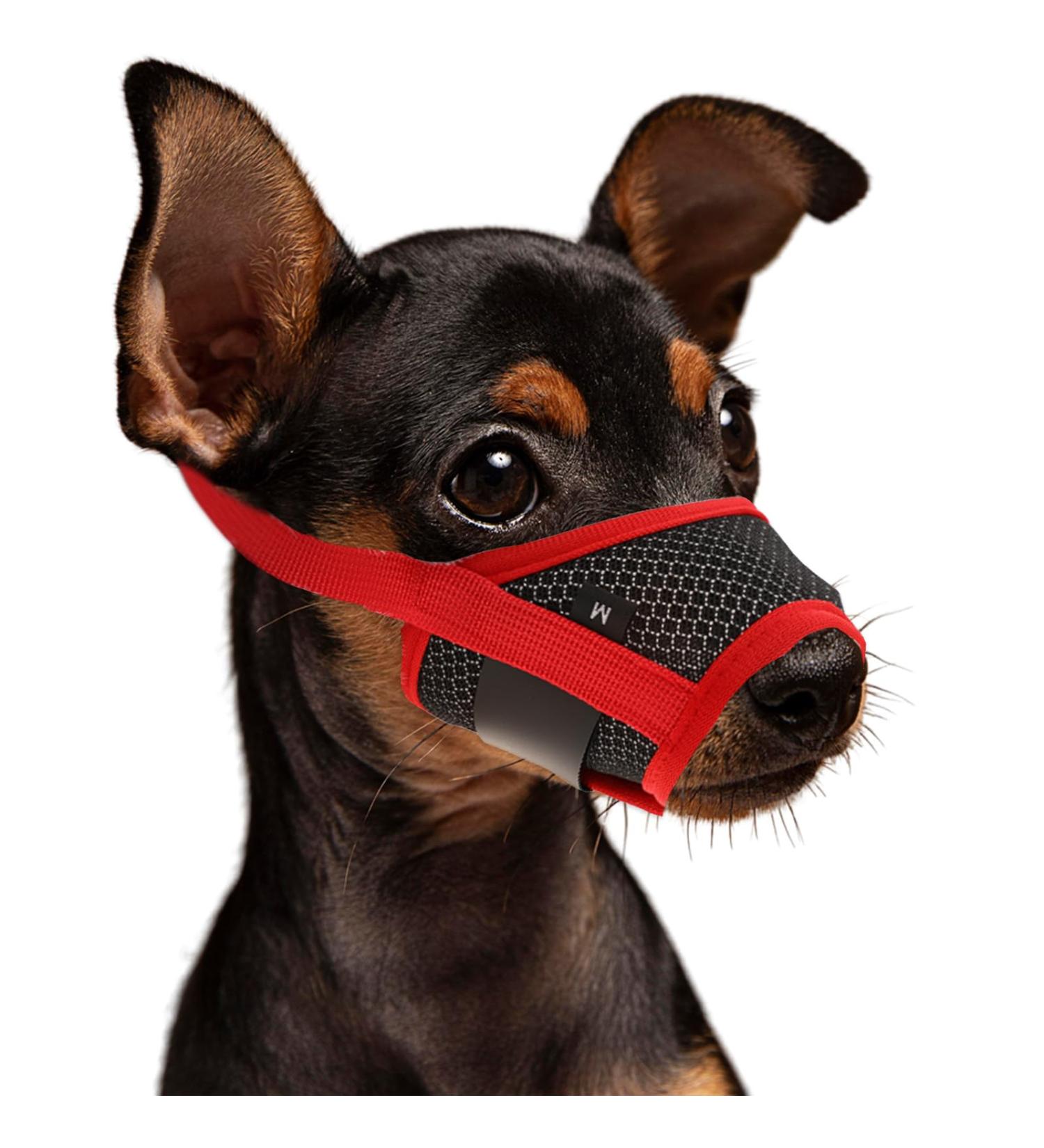 Shop Wllhyf Soft Nylon Dog Muzzle | Breathable & Comfortable Biting Chew Prevention | Adjustable Muzzle for Small Dogs (Red M) - Buy Online on SooperMarket.com