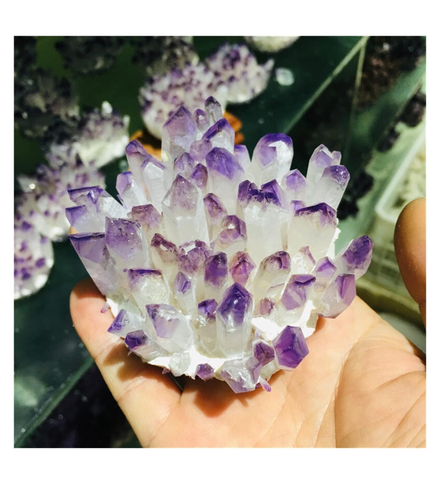 Natural Crystal Cluster Amethyst Specimen Ore Purple Reiki Stone Raw Crystal Home Decor Decoration Gift (Size : 500-600) - Buy Online on SooperMarket.com