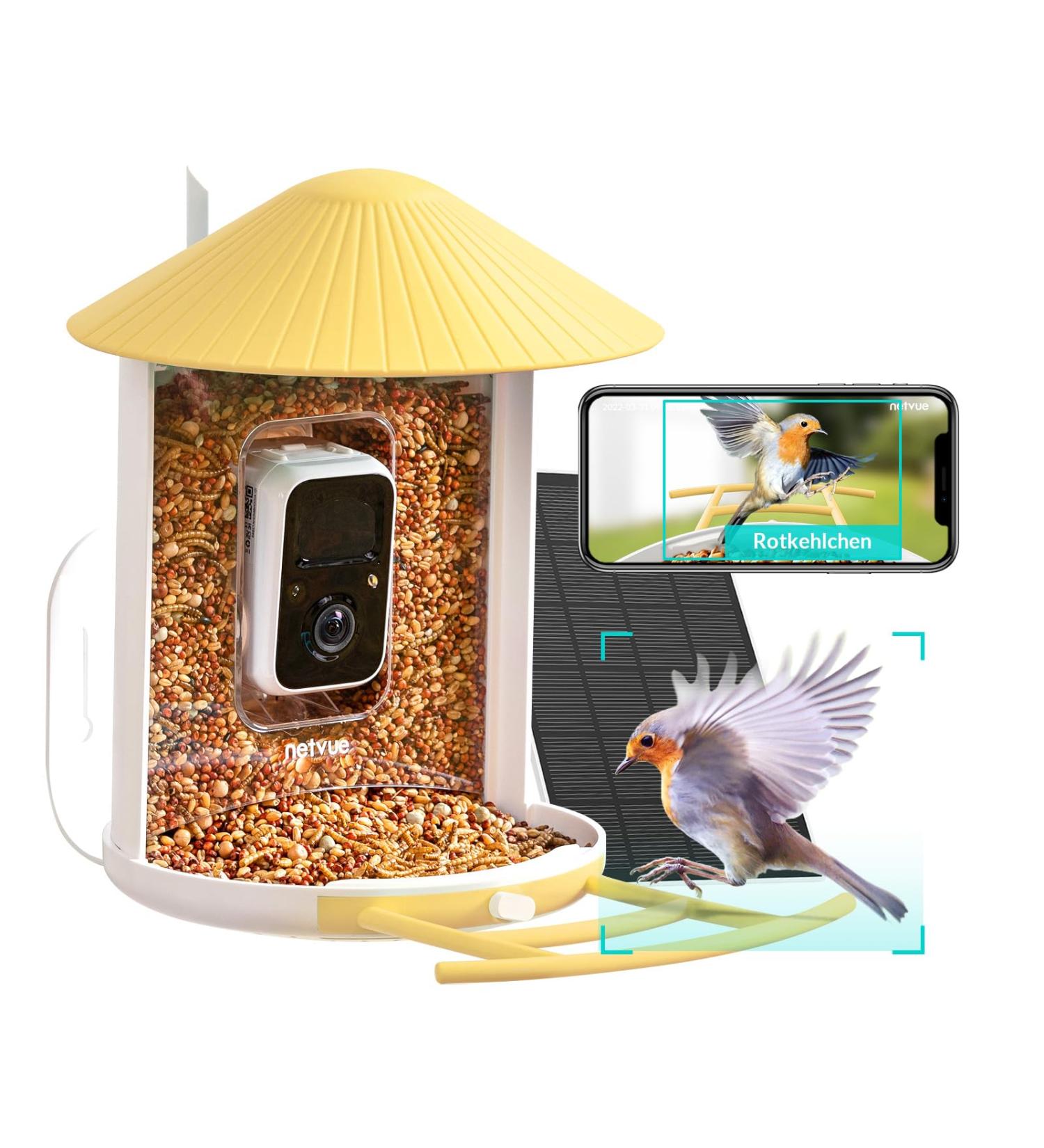 Birdfy Bird Feeder with Camera - AI Detection Video Recording & Solar Powered - Ideal for Wild Bird Feeding - Buy Online on SooperMarket.com