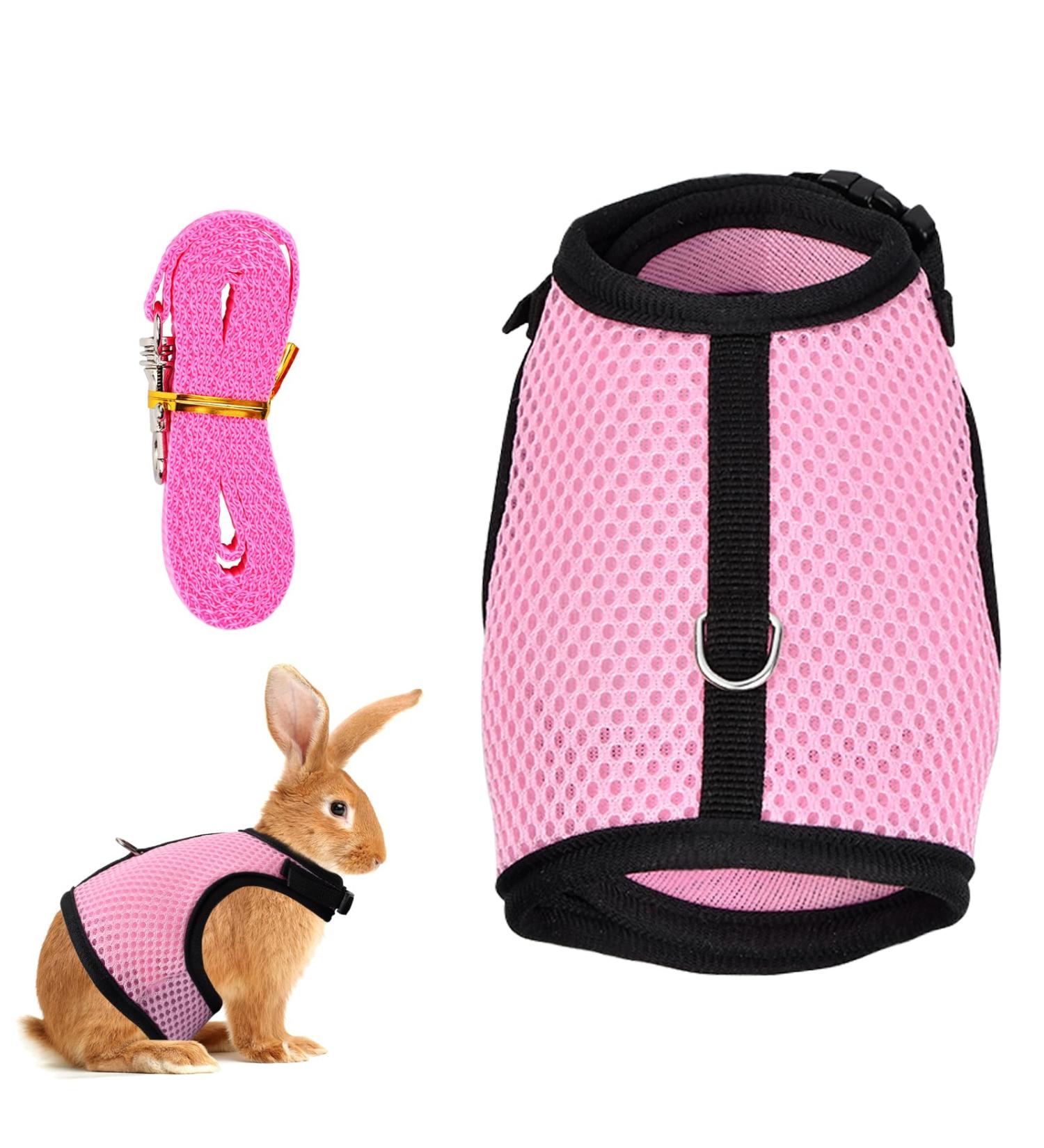 Buy Tibapla Adjustable Rabbit Dishes with Elastic Leash - Perfect Kitty & Small Animal Bowl - Pink (M) - Buy Online on SooperMarket.com