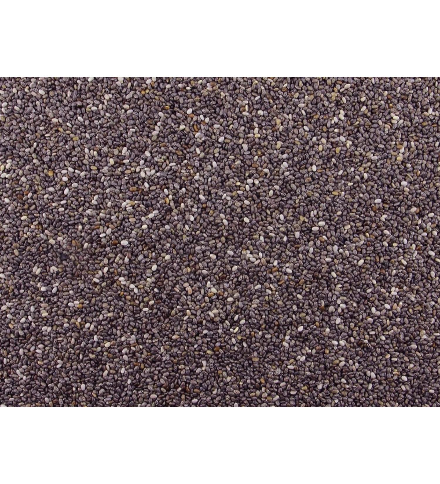 Gorilla Food Co. Whole Dark (Black) Chia Seeds - 5kg (Bulk Pack) - Raw - Non-GMO