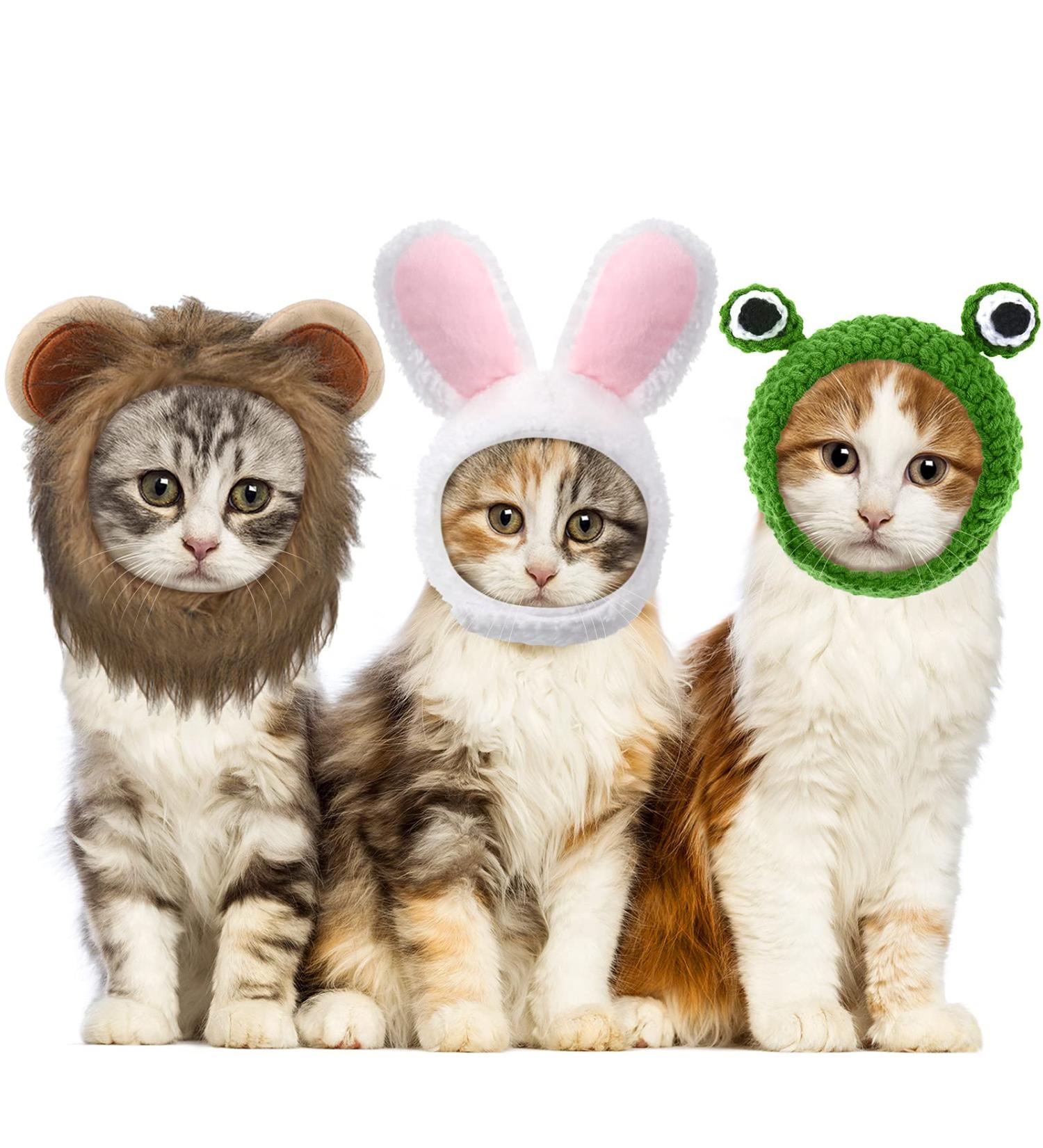 3 Piece Cat Costume Set with Adjustable Pet Headwear for Kitten and Dog Cosplay - Perfect for Halloween and Birthday Parties (Basic Style) - Buy Online on SooperMarket.com