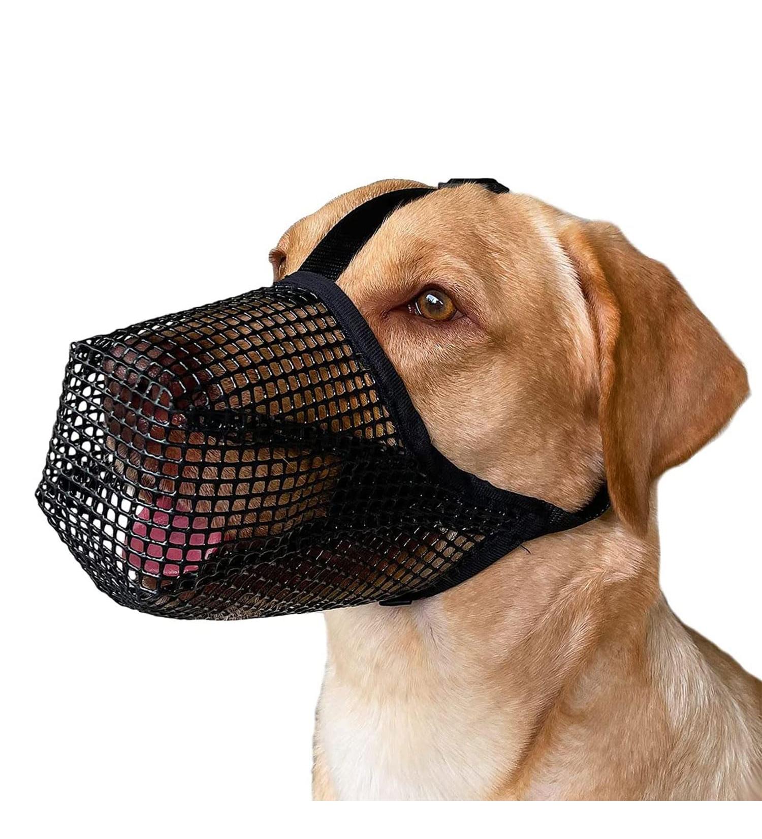 Breathable Black Mesh Dog Muzzle | Adjustable & Comfortable Muzzles for Dogs - Buy Online on SooperMarket.com