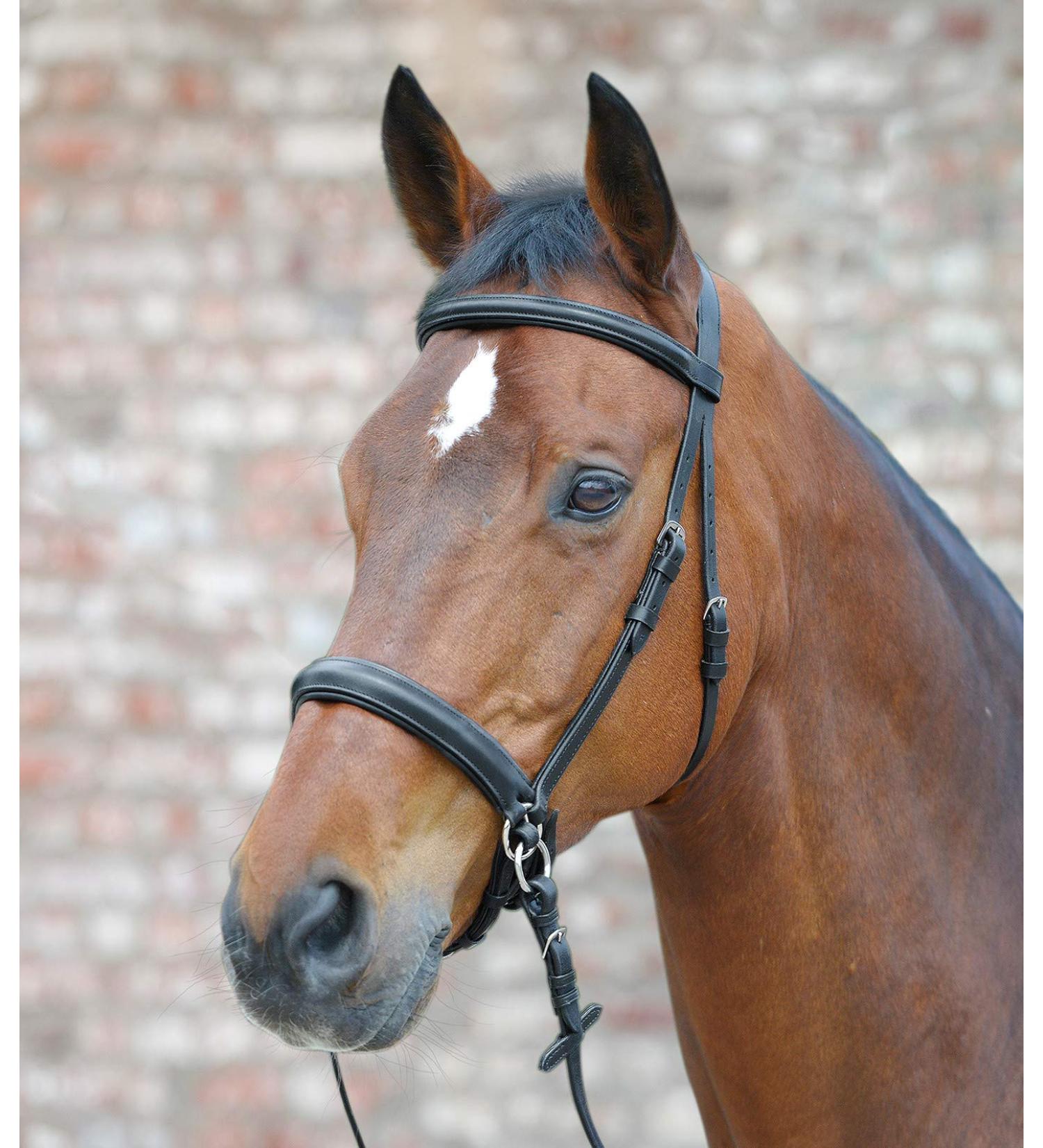 Equipride leather bridle bitless scrawbig style with soft reins full COB Pony (Cob)