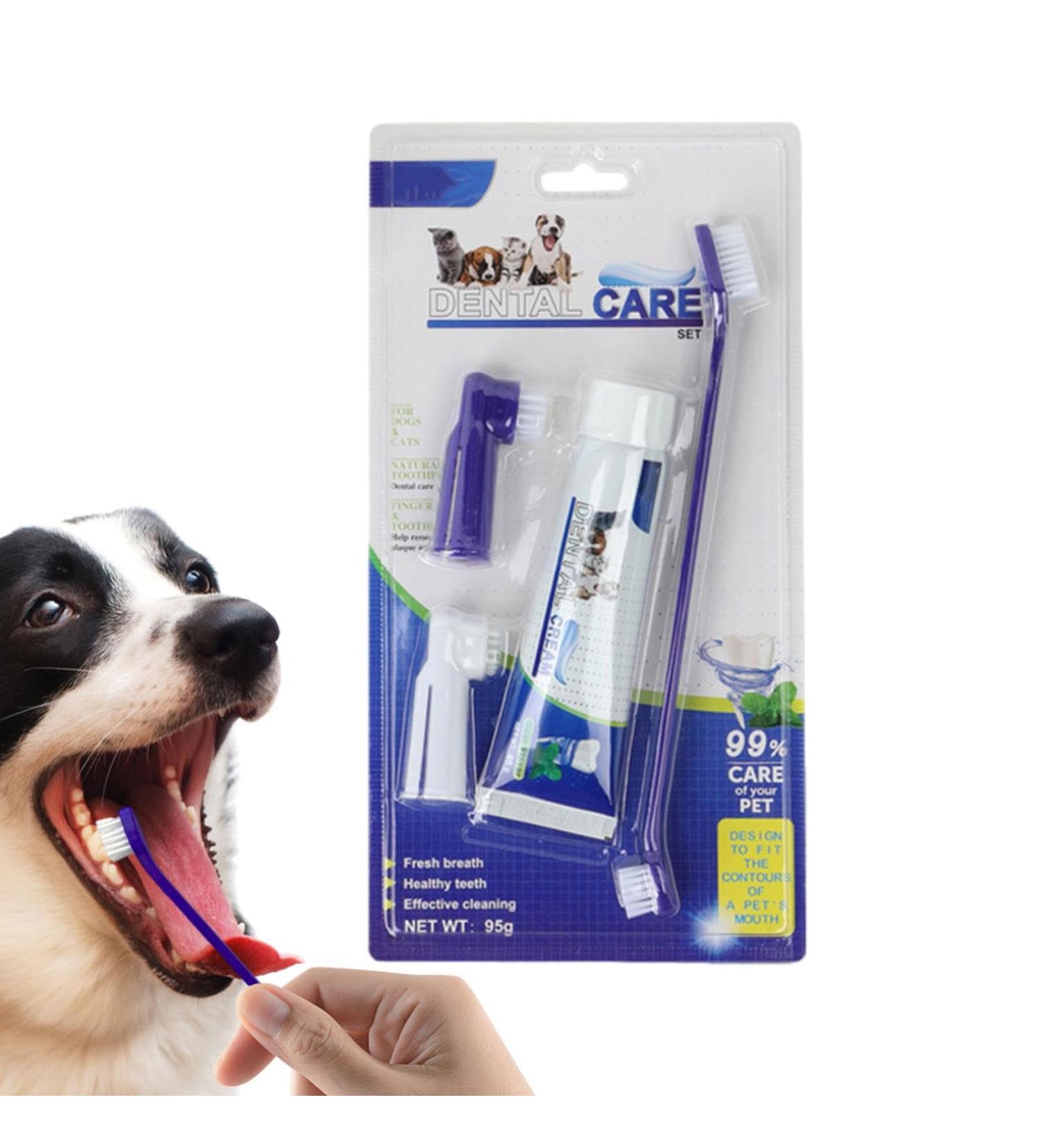 Visiblurry Cat Toothbrush & Pet Toothpaste Set | Essential Puppy Supplies for Home & Veterinary Care - Buy Online on SooperMarket.com