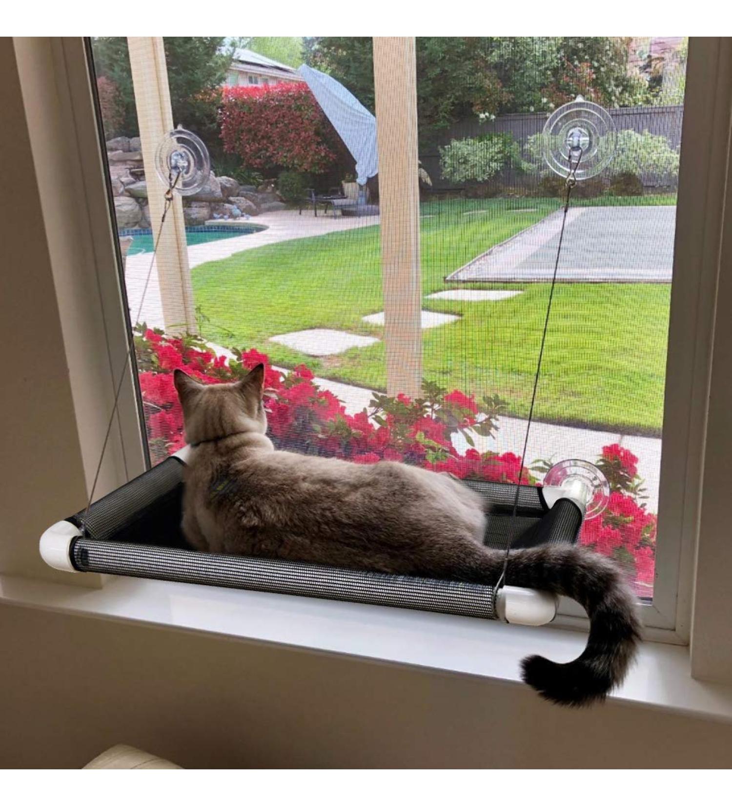 Lcybem Cat Window Hammock - Sturdy Suction Cups Window Perch for Cats - Holds Two Large Cats - 360 Sunbathe - Indoor Cat Window Seat - Buy Online on SooperMarket.com