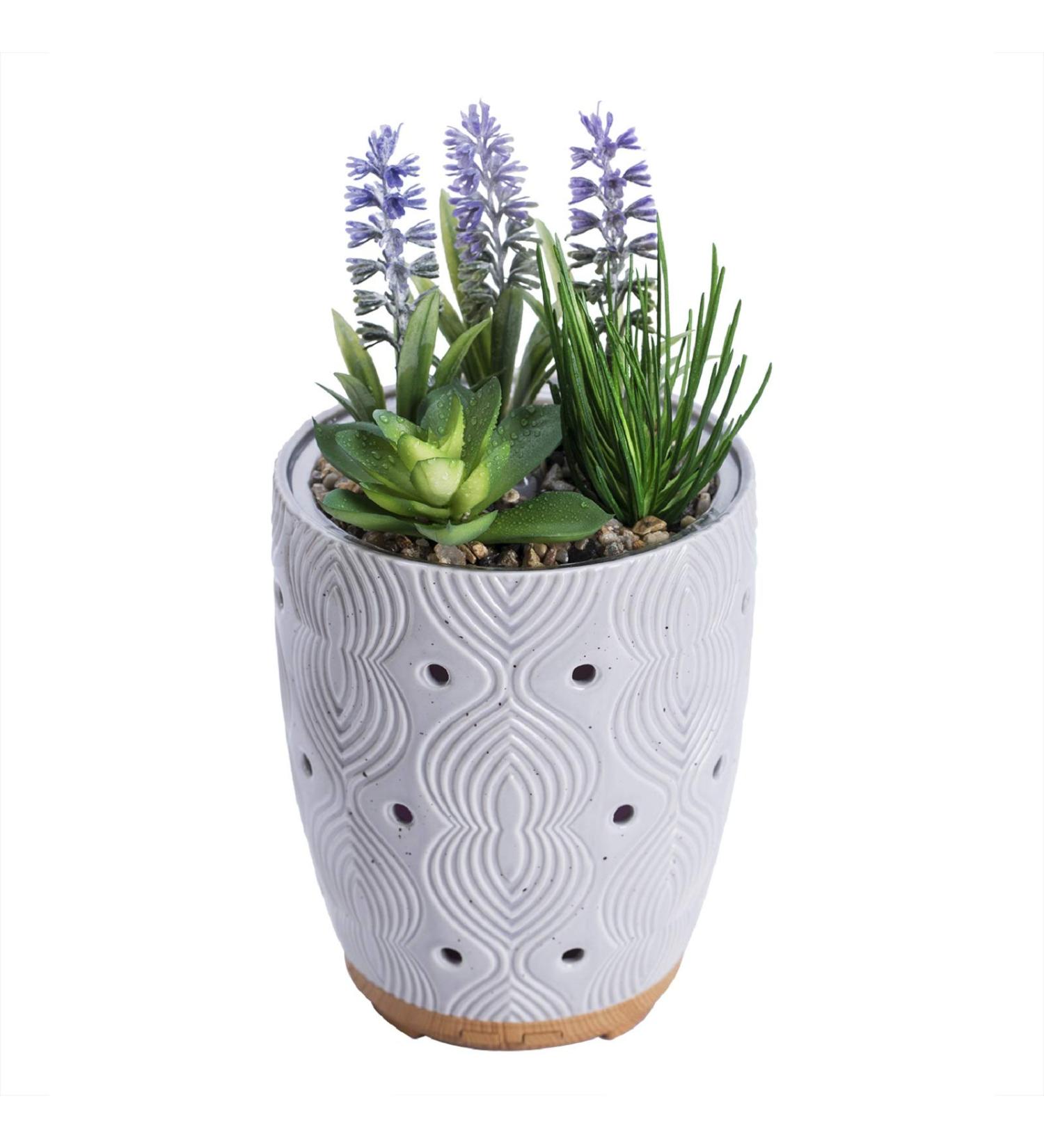 Artificial Succulent Plants Potted Essential Oil Diffuser with 7 Colors LED Light - Grey | Aromatherapy Ceramic Cool Mist Diffuser for Home and Office - Buy Online on SooperMarket.com