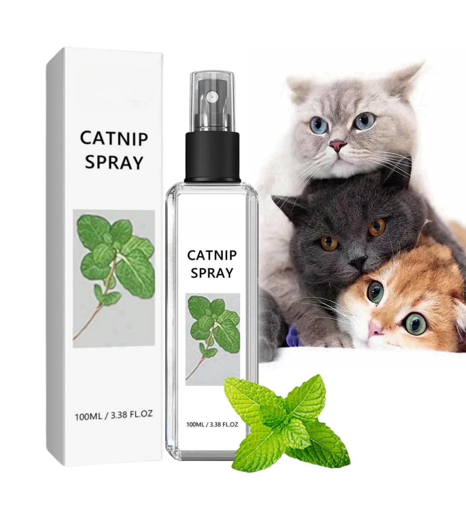 100ml Herbal Cat Joy Spray Herbal Cat Joy Celery Pets Catnip Spray for Cats Cat Scratching Spray Mist Cat Training Spray with Catnip Catnip Spray for Indoor Cats Cat Nips Spray for Cat Anxiety Relief - Buy Online on SooperMarket.com